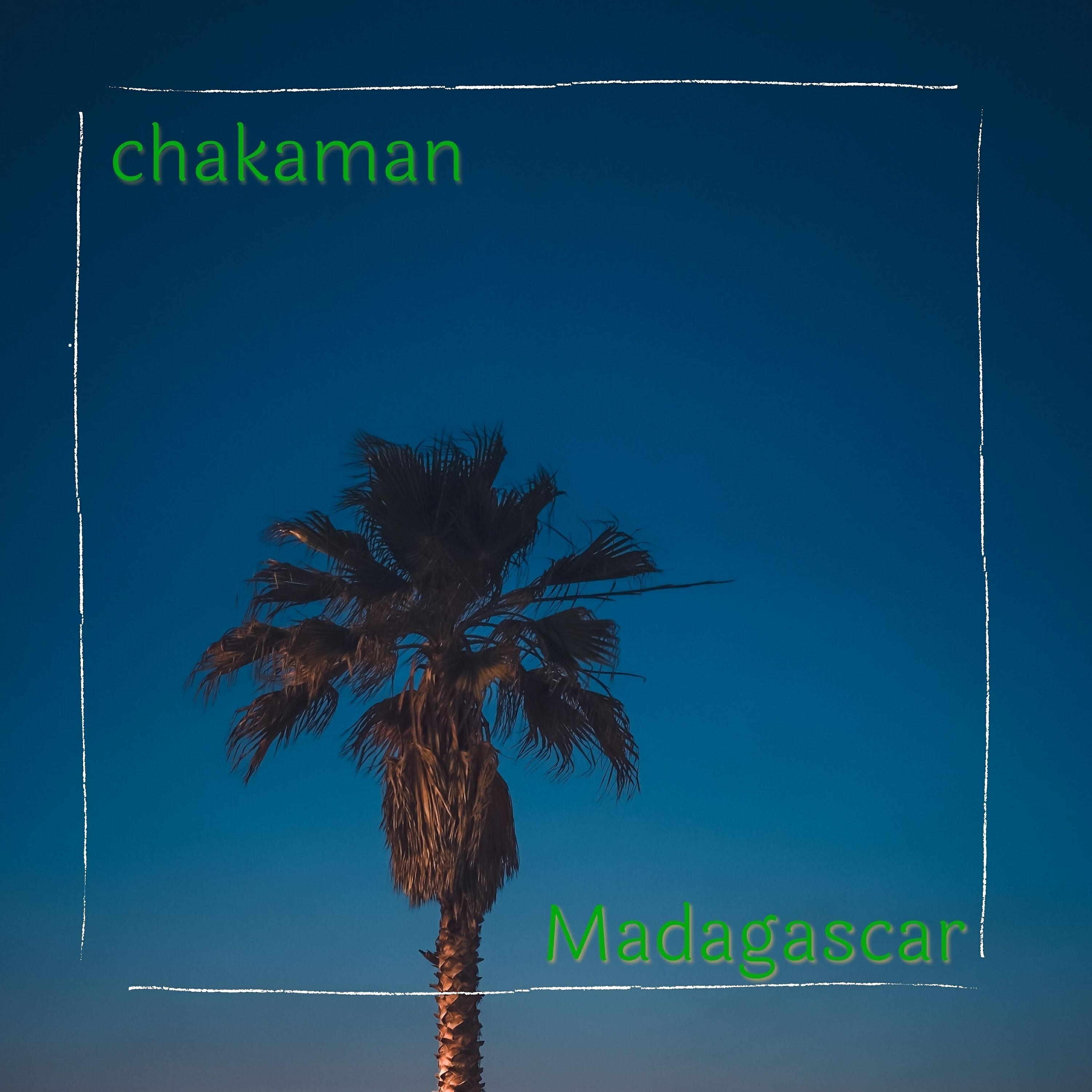 Релиз Madagascar