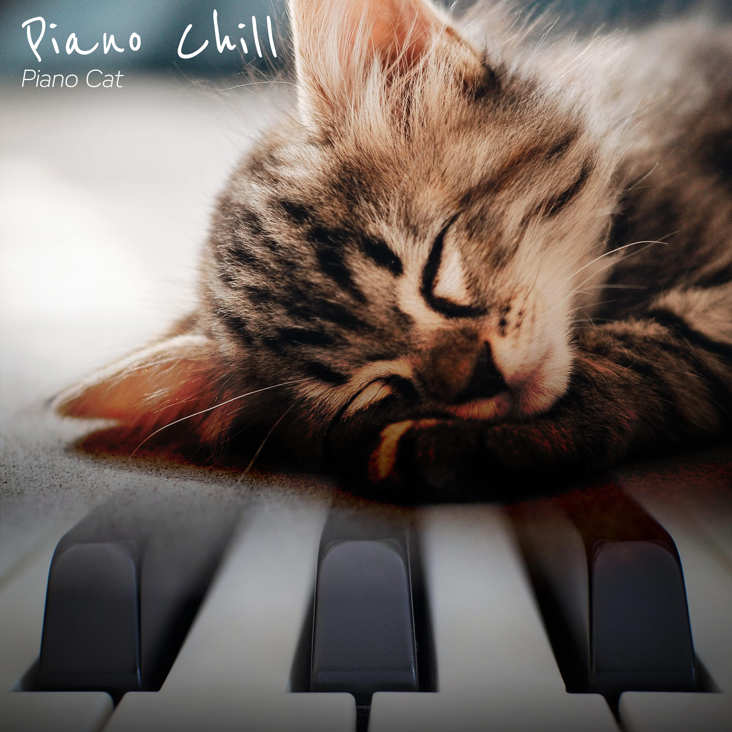 Релиз Piano Chill
