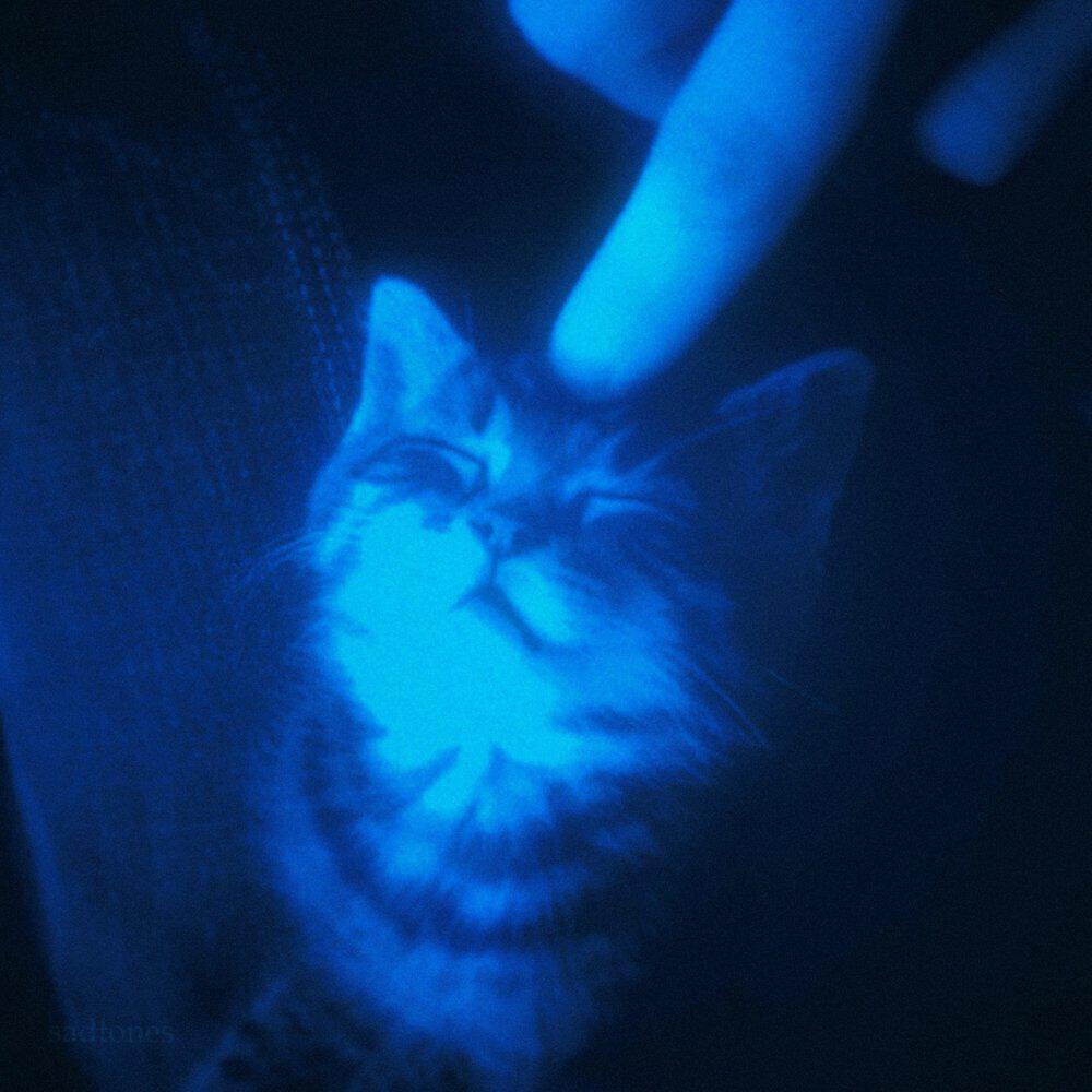 Релиз endless mist