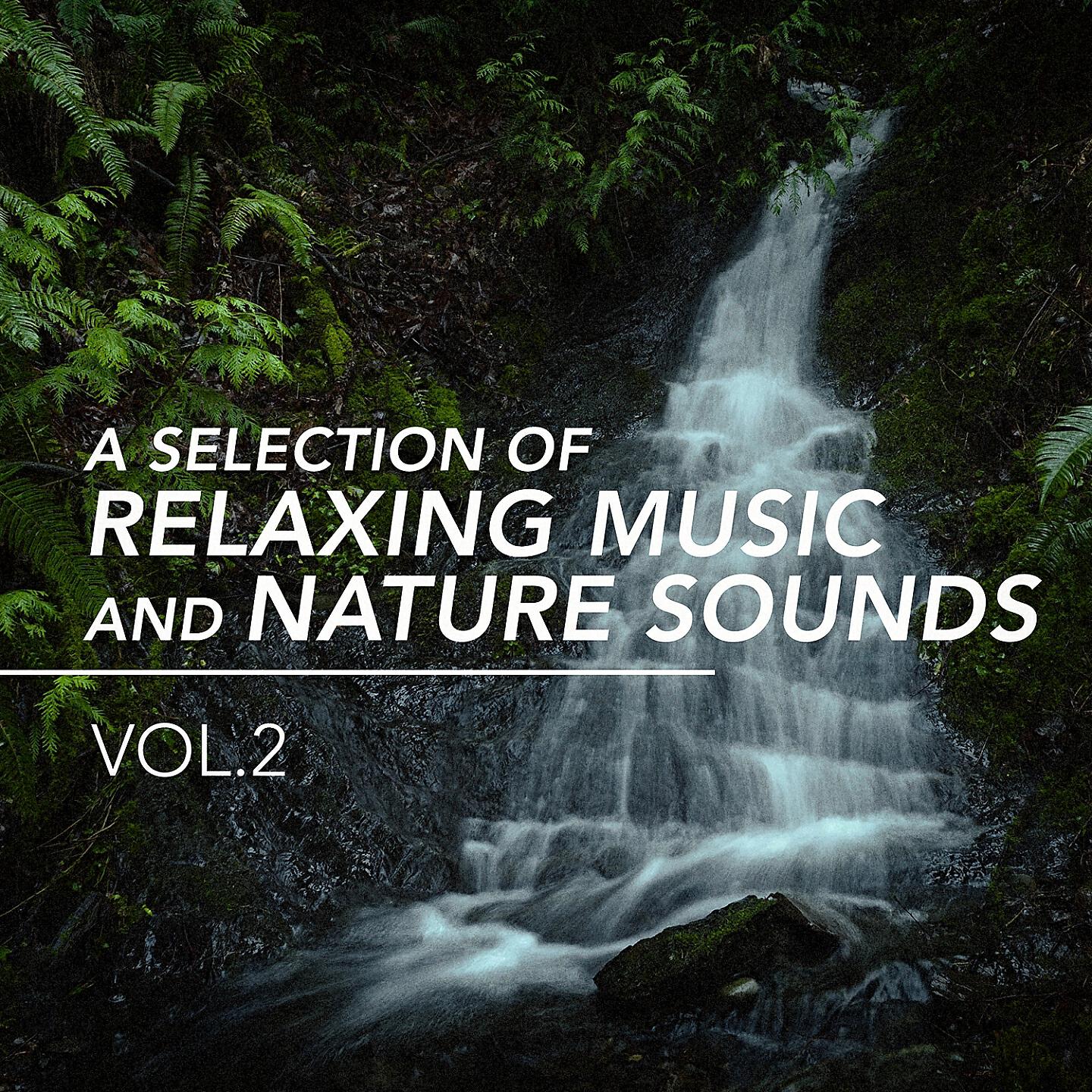 Релиз A Selection of Relaxing Music and Nature Sounds, Vol. 2