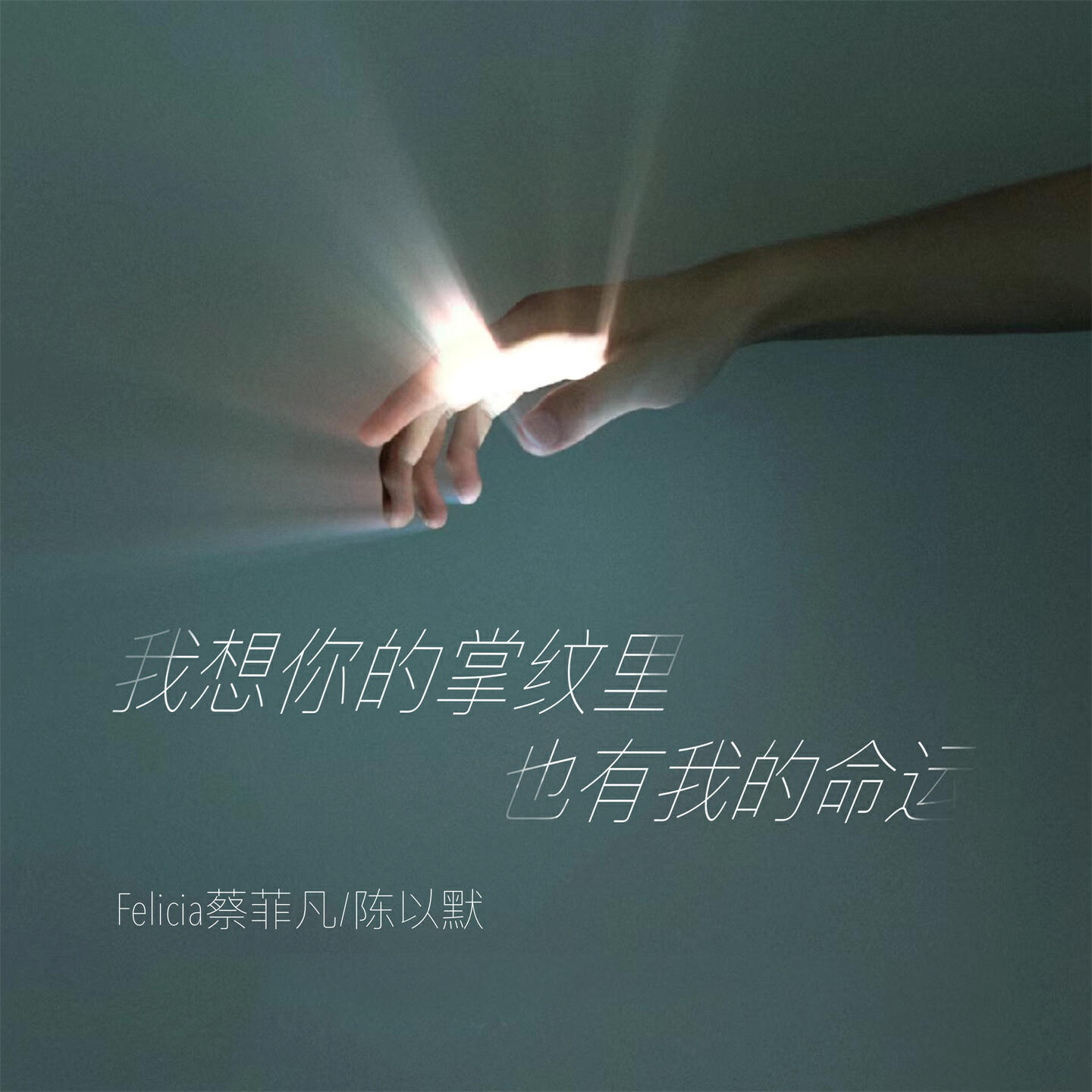 Релиз 我想你的掌纹里也有我的命运