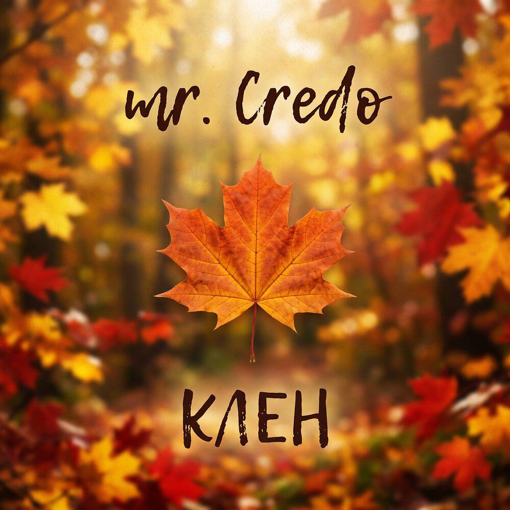 mr. Credo