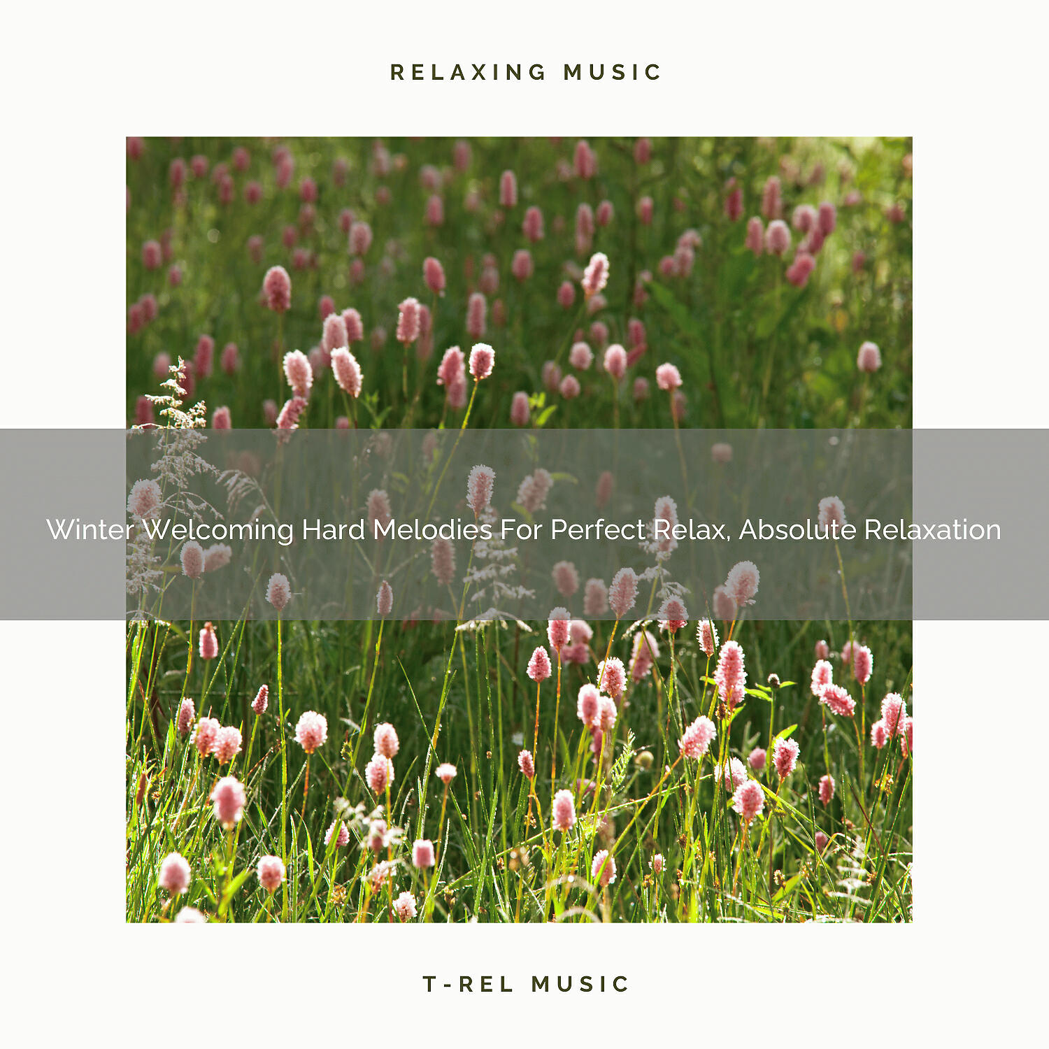Релиз Winter Welcoming Hard Melodies For Perfect Relax, Absolute Relaxation