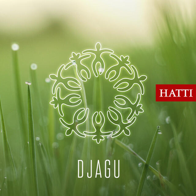 Релиз DJAGU