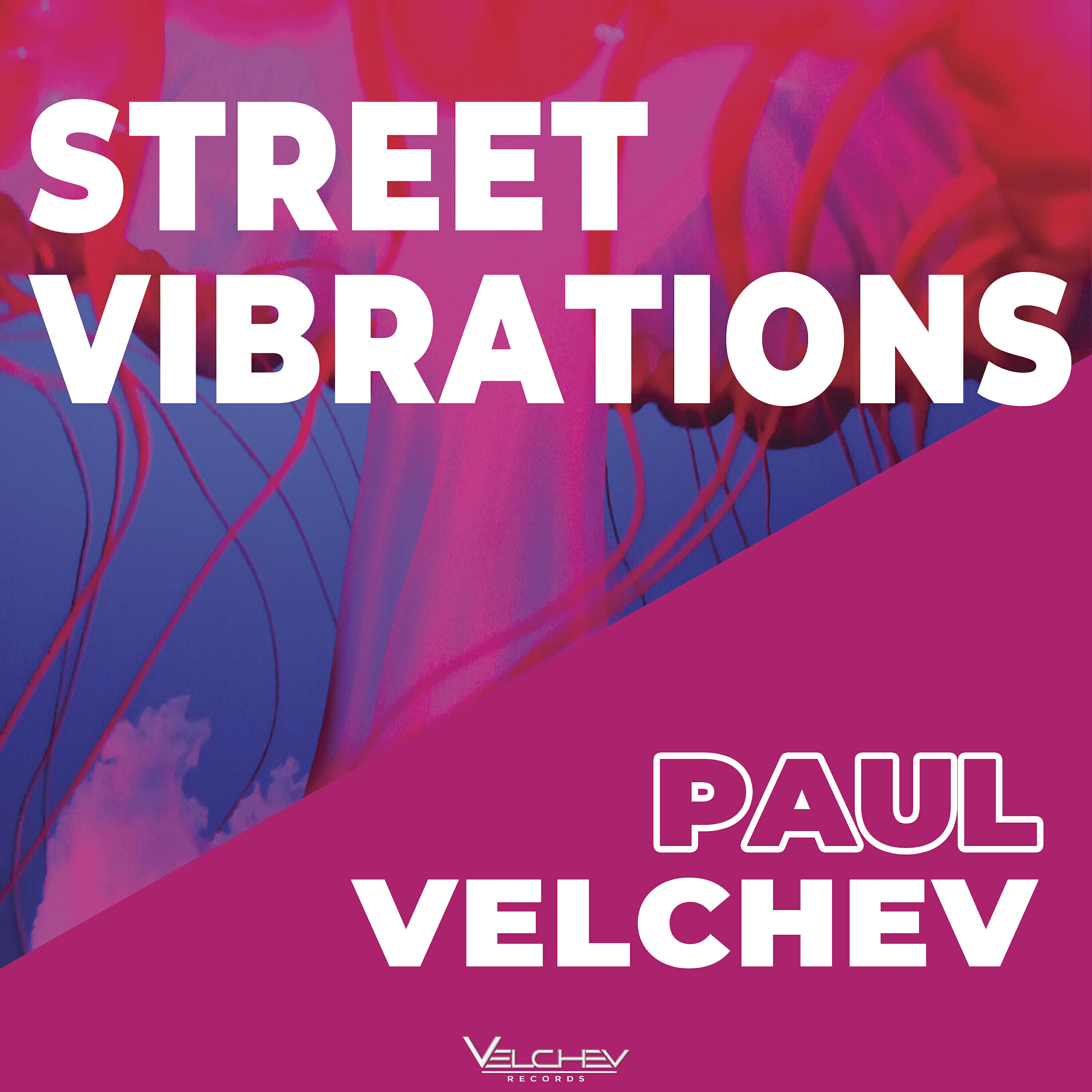 Релиз Street Vibrations