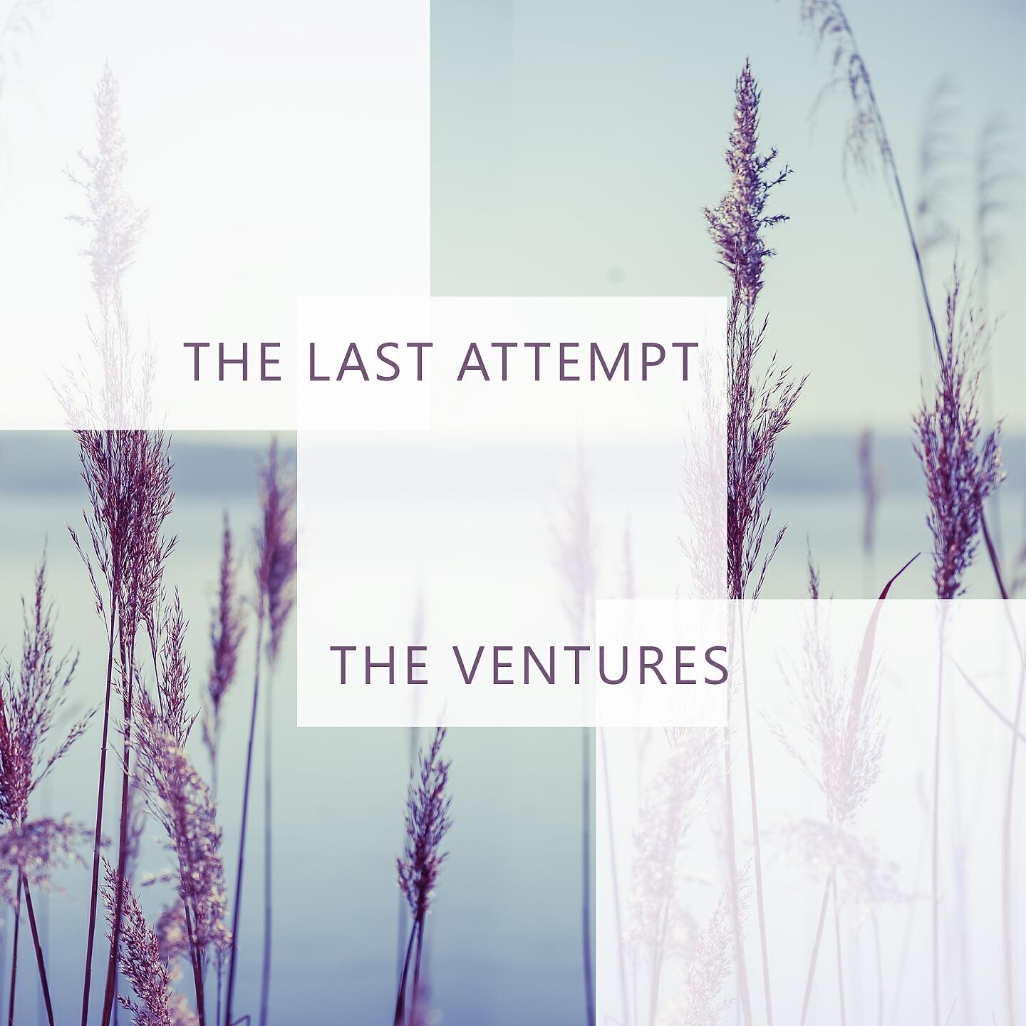 Релиз The Last Attempt