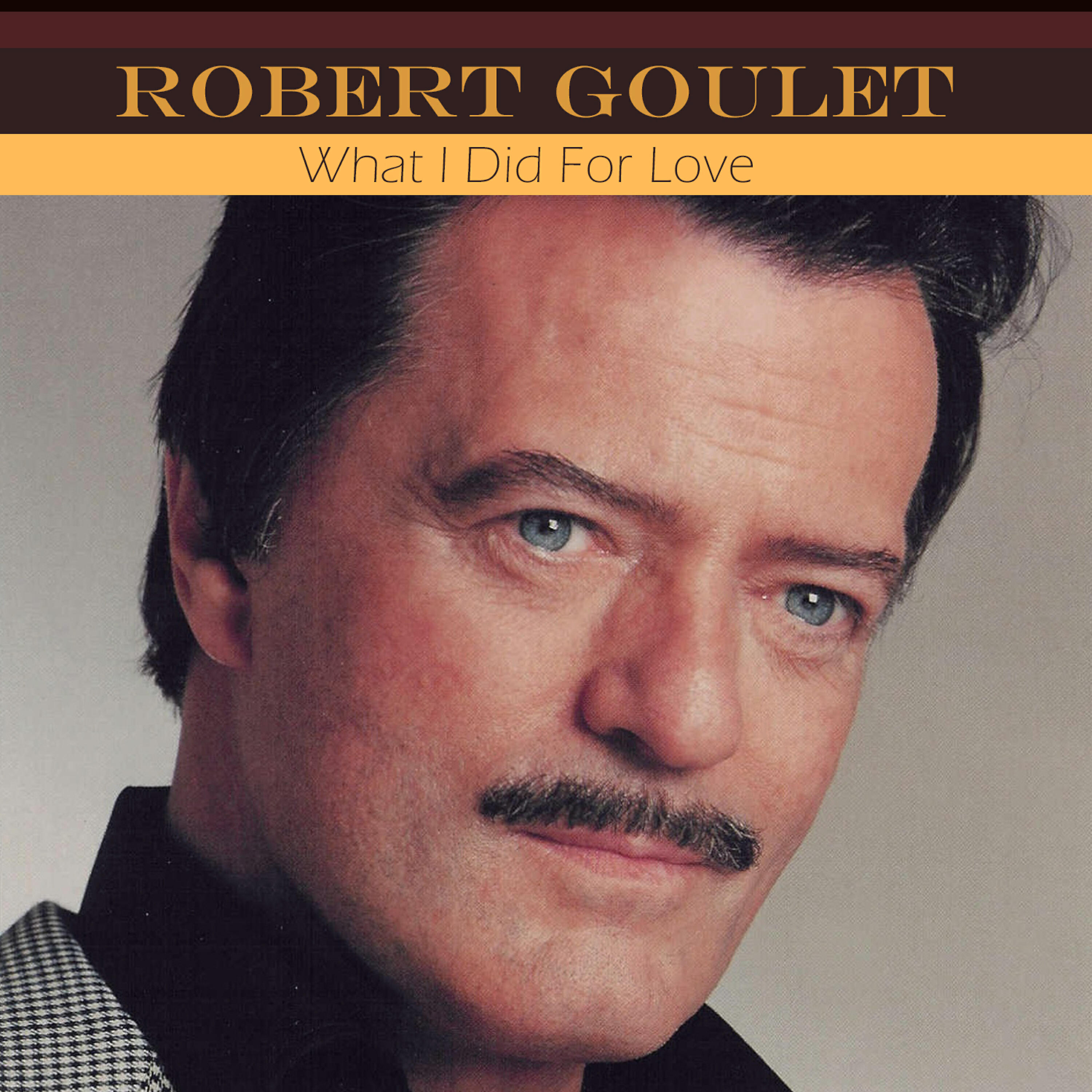 Релиз What I Did for Love