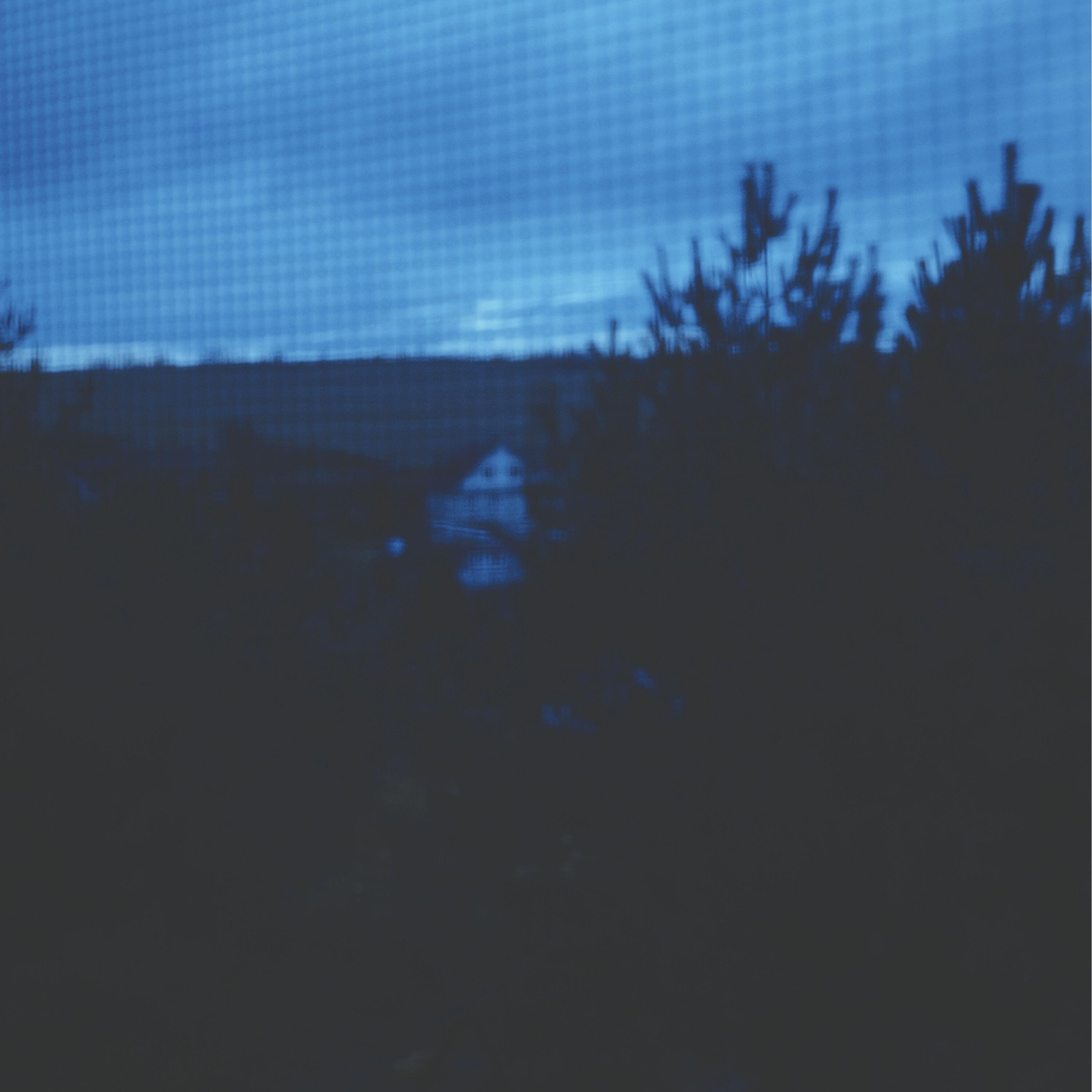 Релиз sweet home