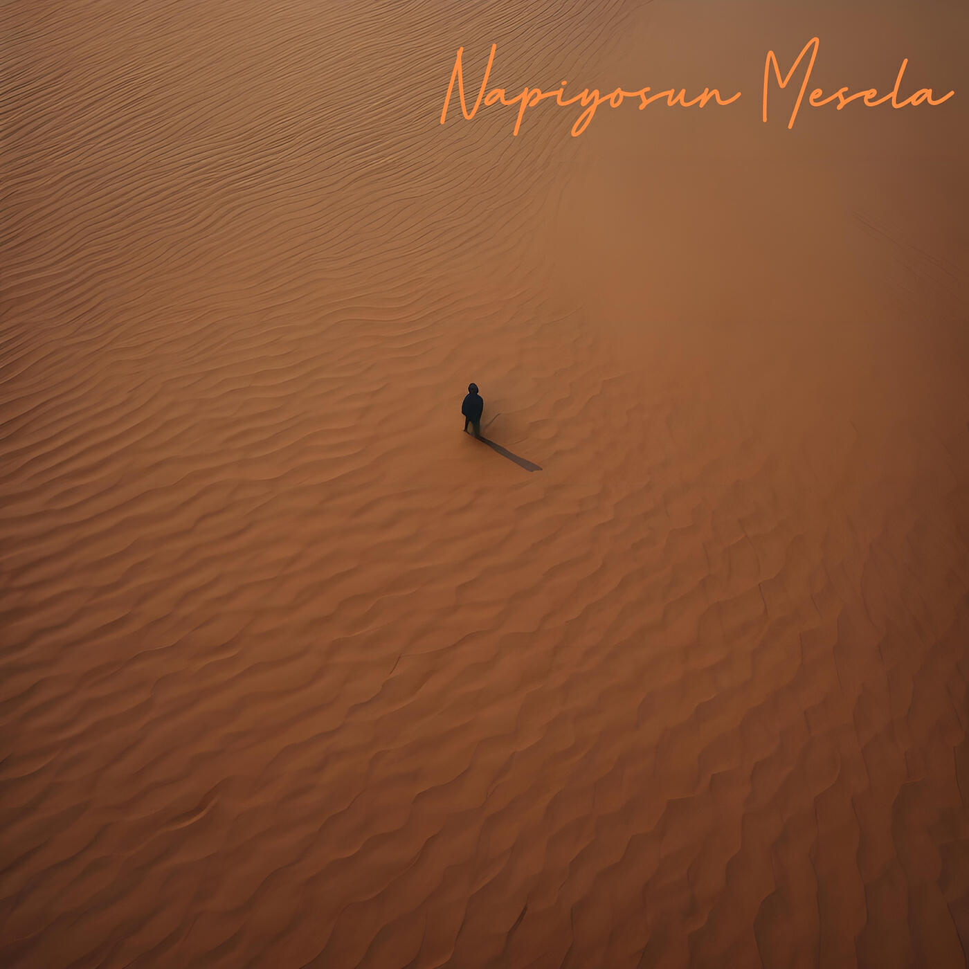Релиз Napiyosun Mesela