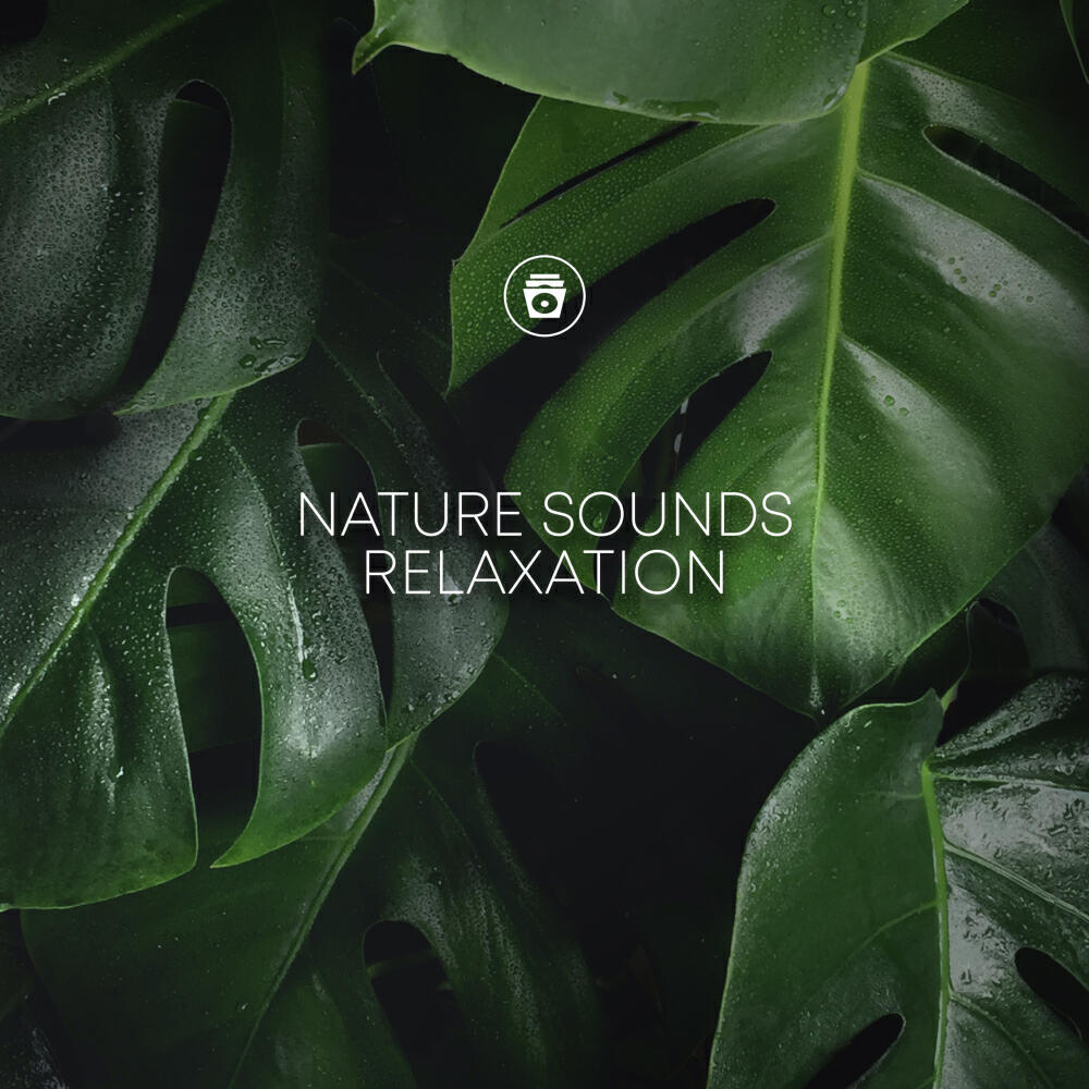 Постер альбома Nature Sounds Relaxation
