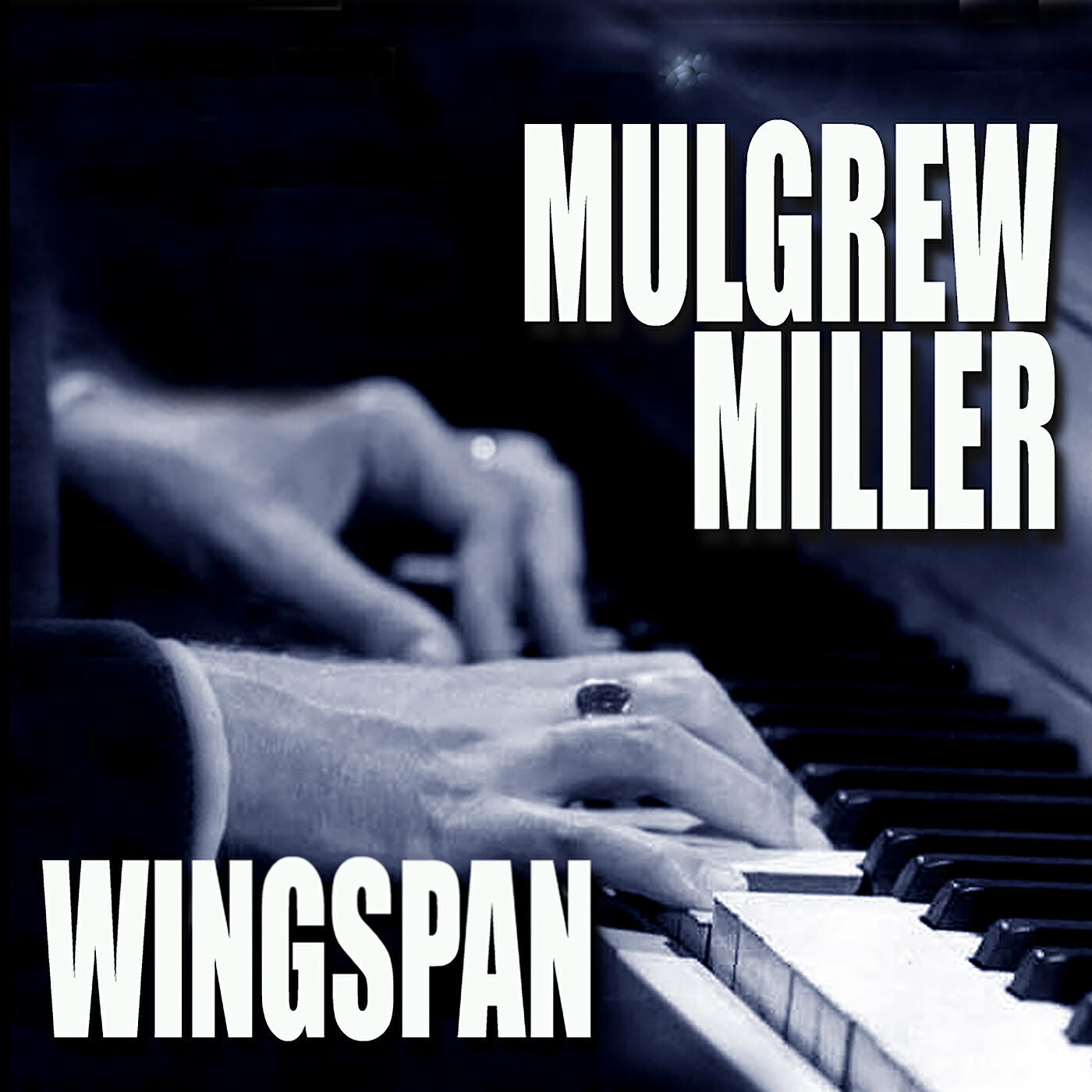 Релиз Wingspan