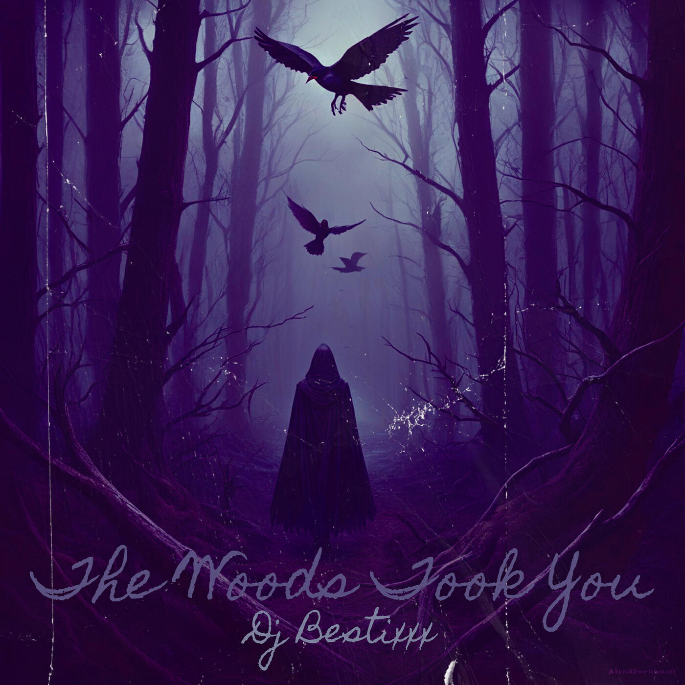 Постер альбома The Woods Took You