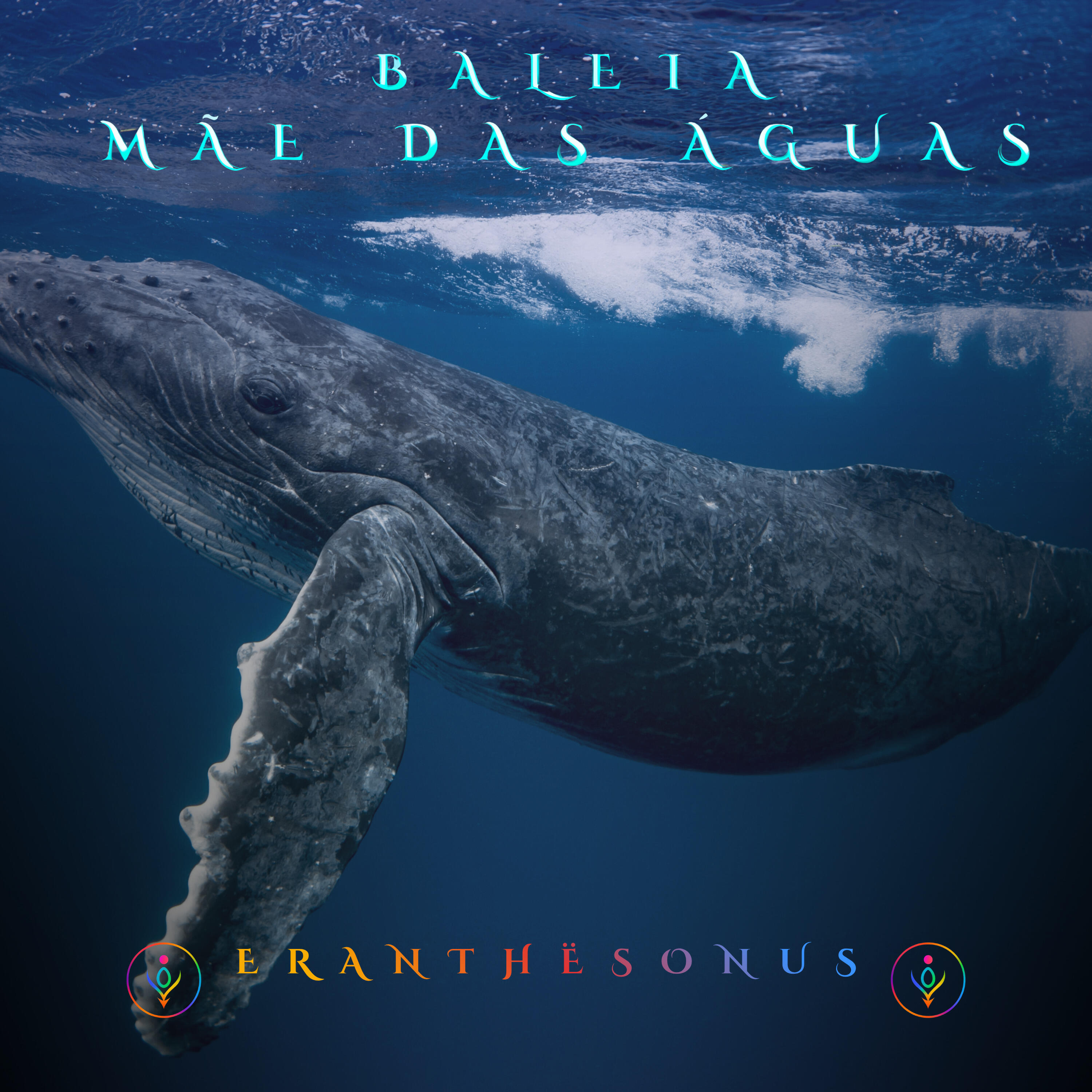 Релиз Baleia - Mãe das Águas