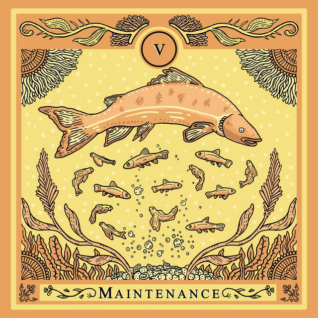 Релиз Maintenance
