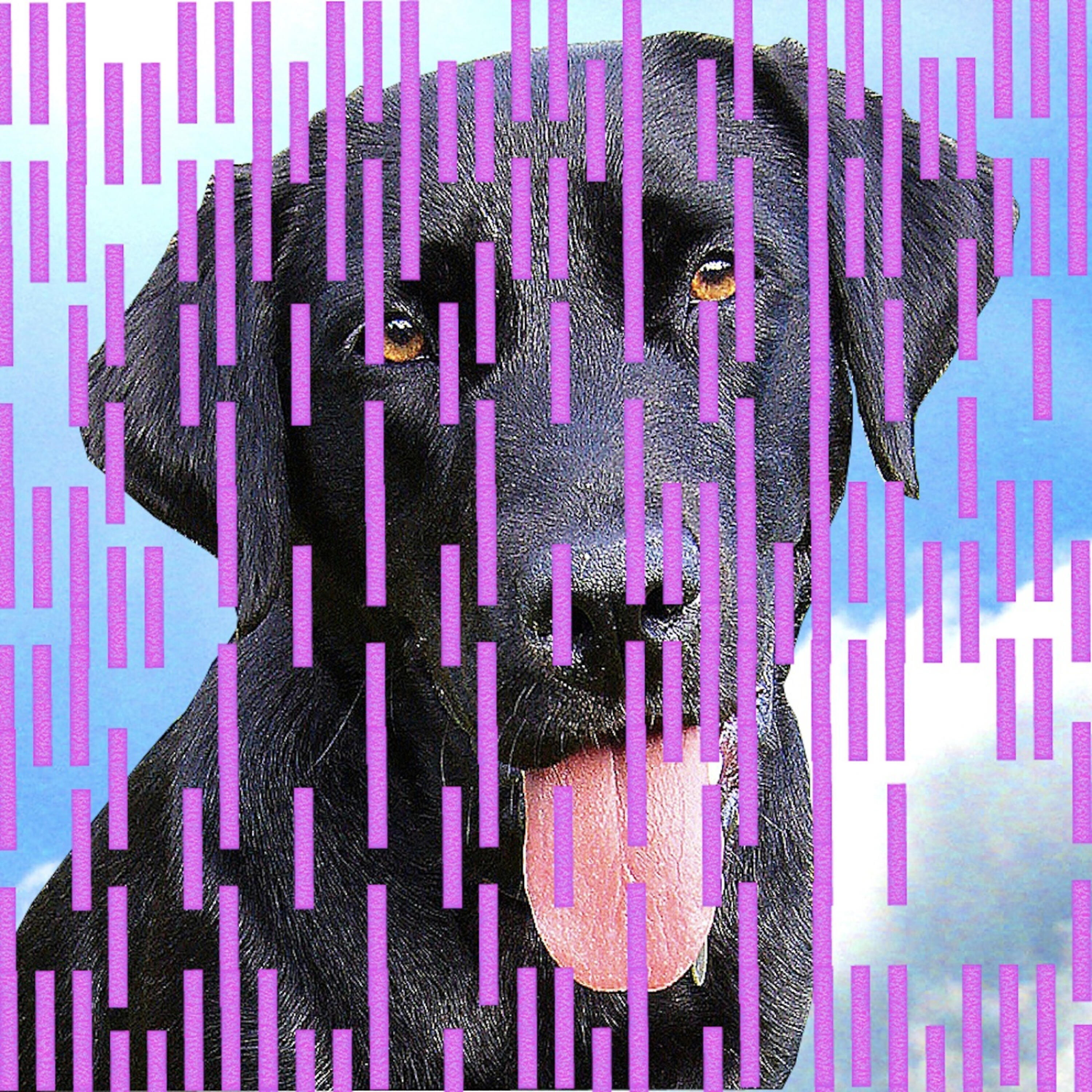 Релиз Buster