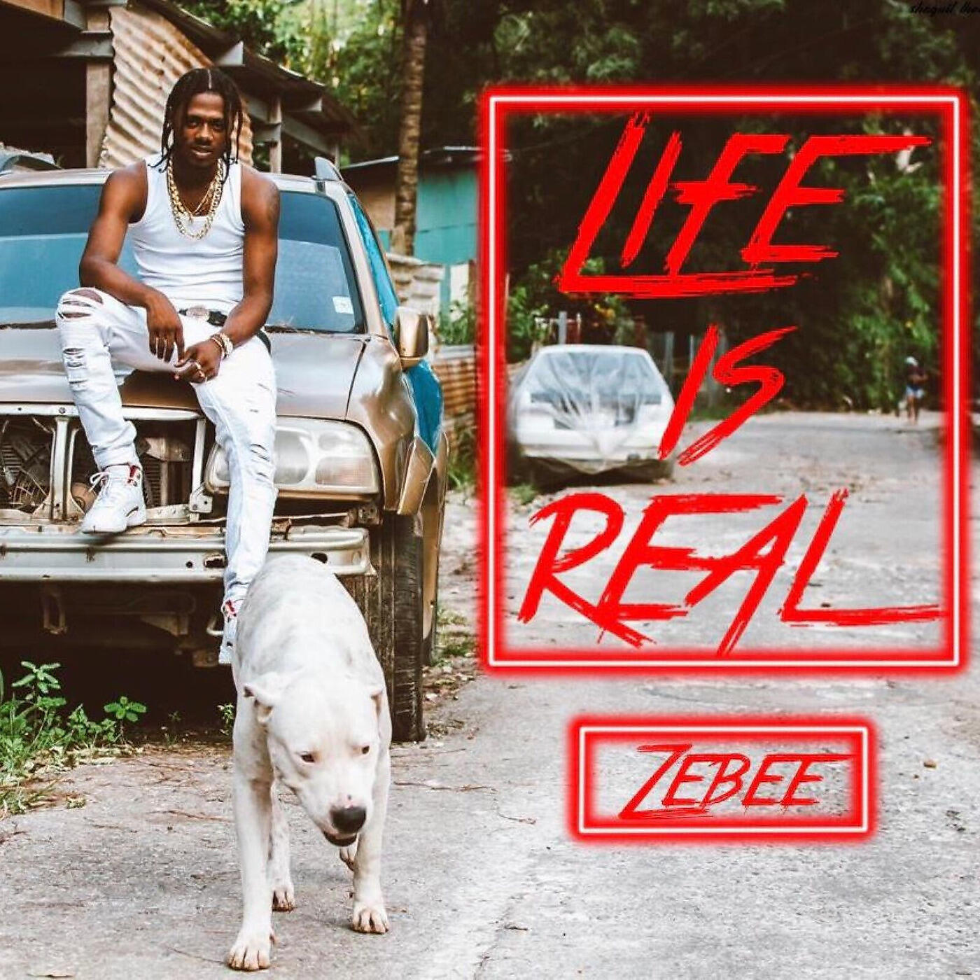 Релиз Life Is Real