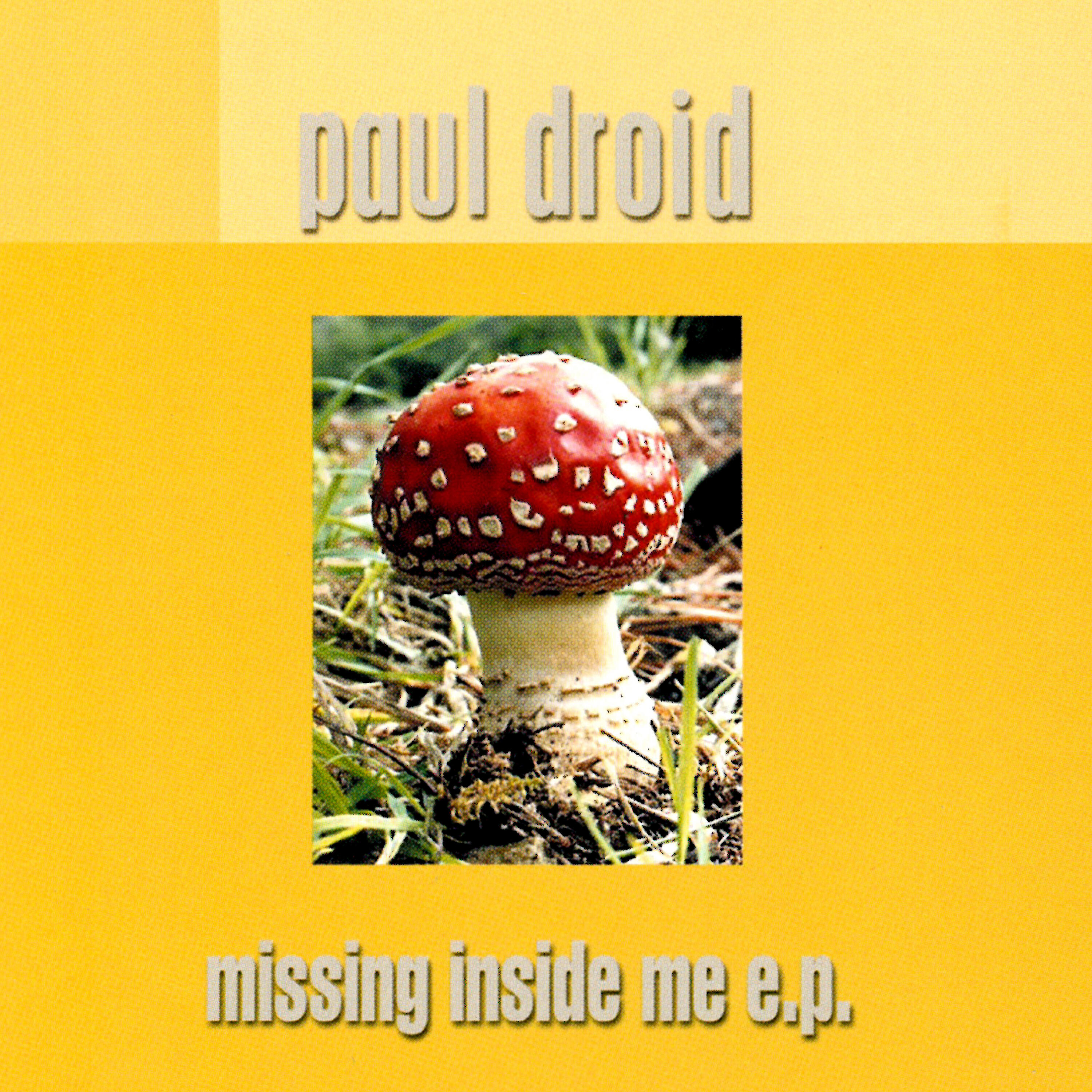 Релиз Missing Inside Me