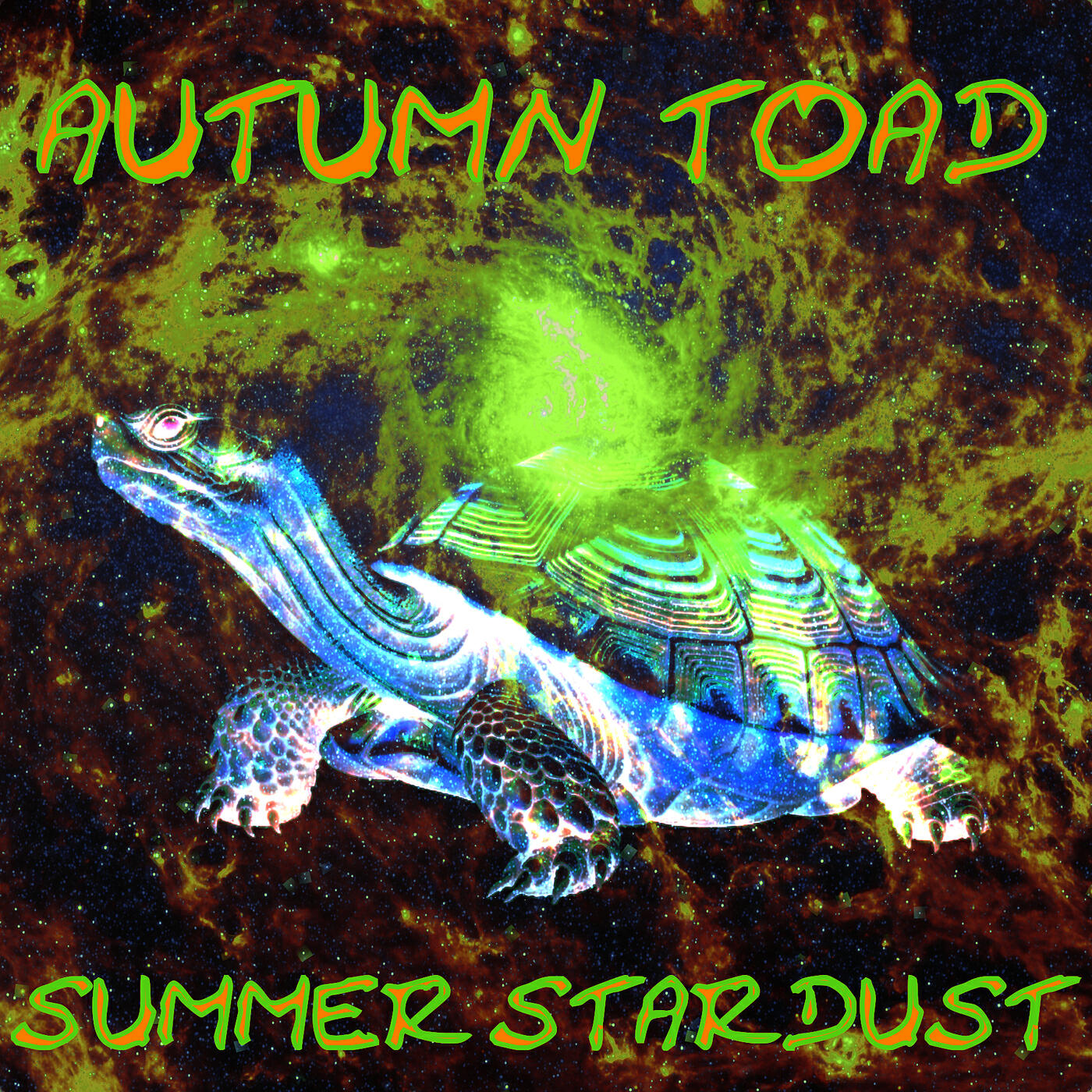 Autumn Toad