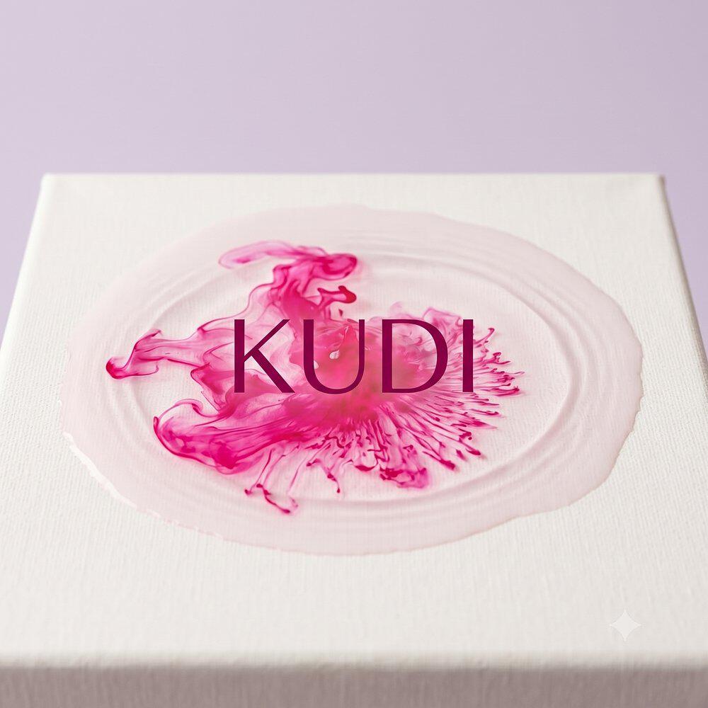 Релиз KUDI
