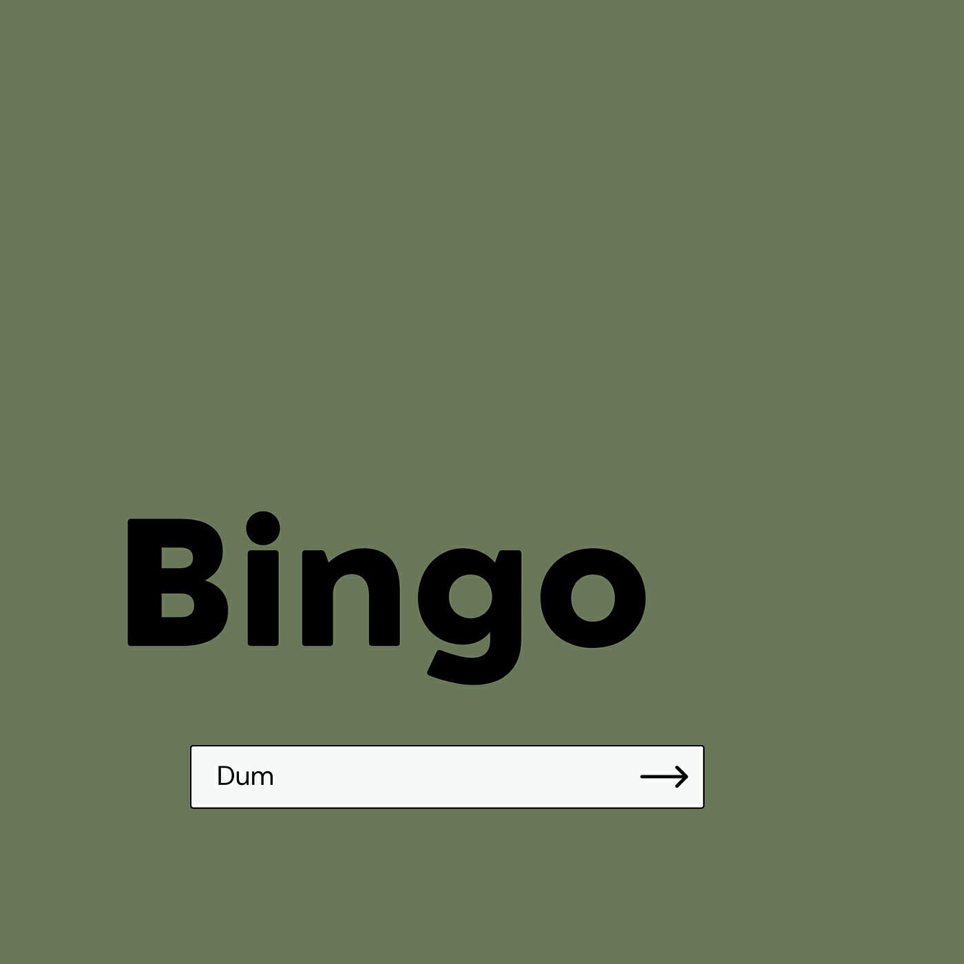 Постер альбома Bingo