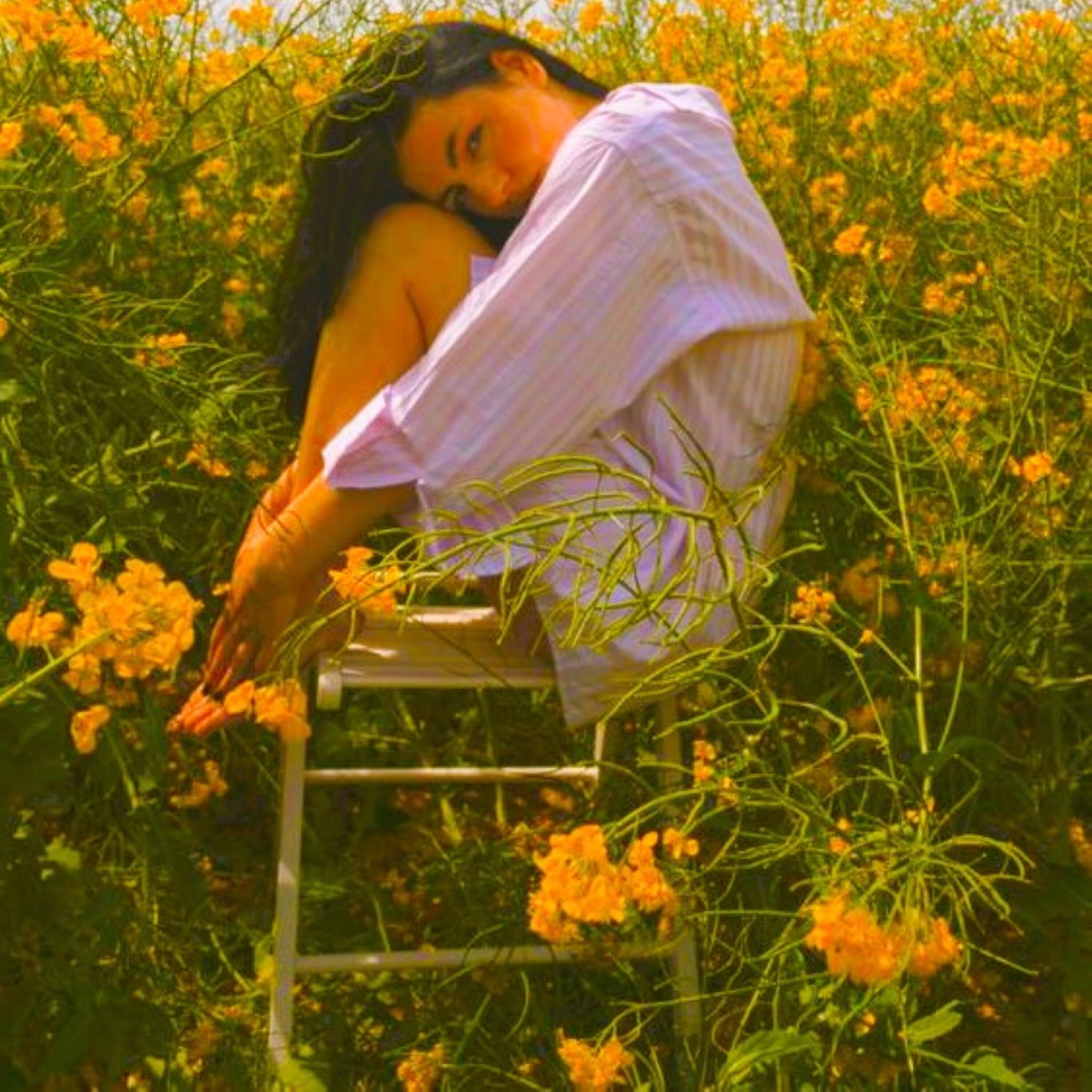 Релиз Little Bird
