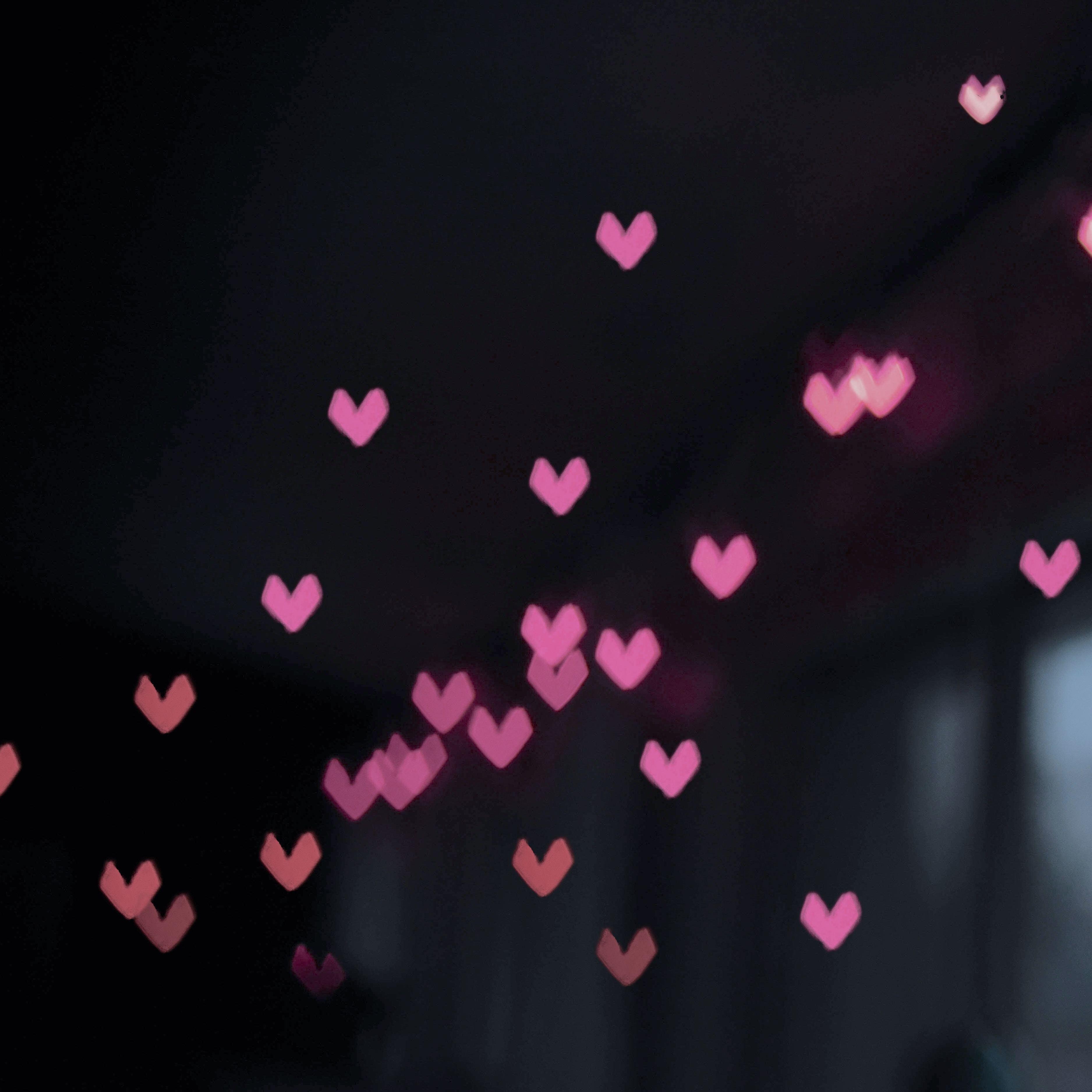 Релиз Love Is Everywhere
