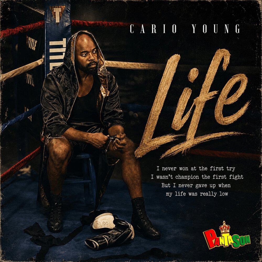 Релиз Life