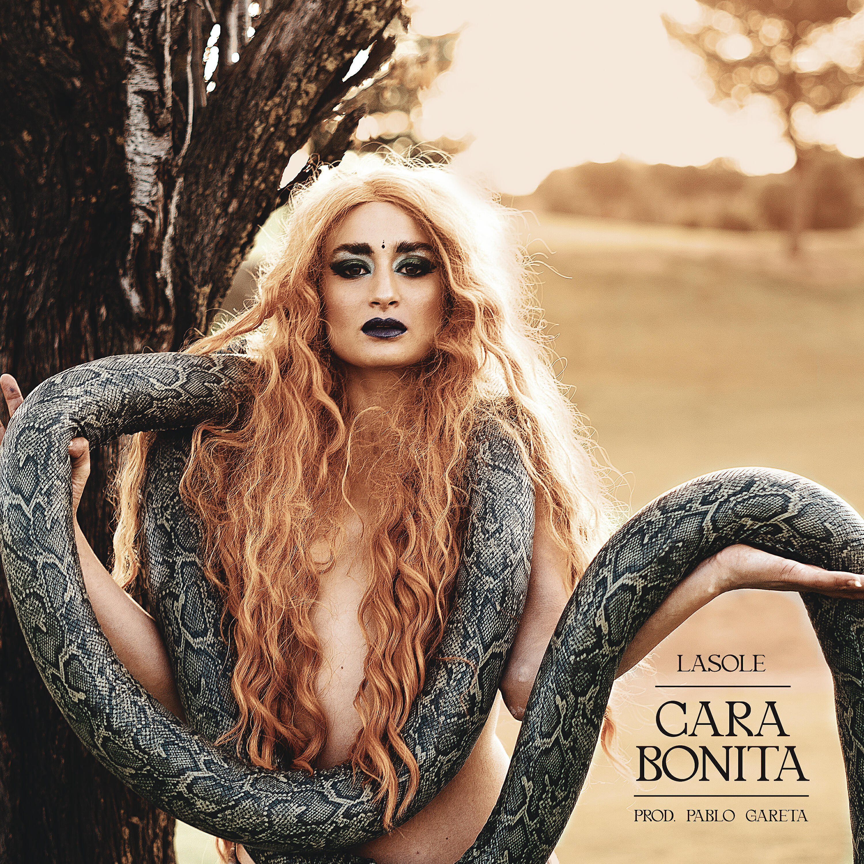 Релиз Cara Bonita