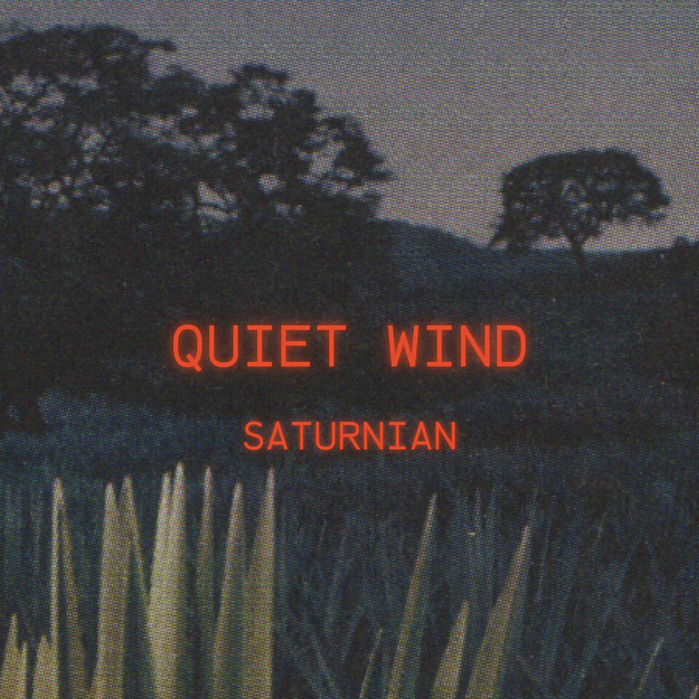 Релиз Quiet Wind