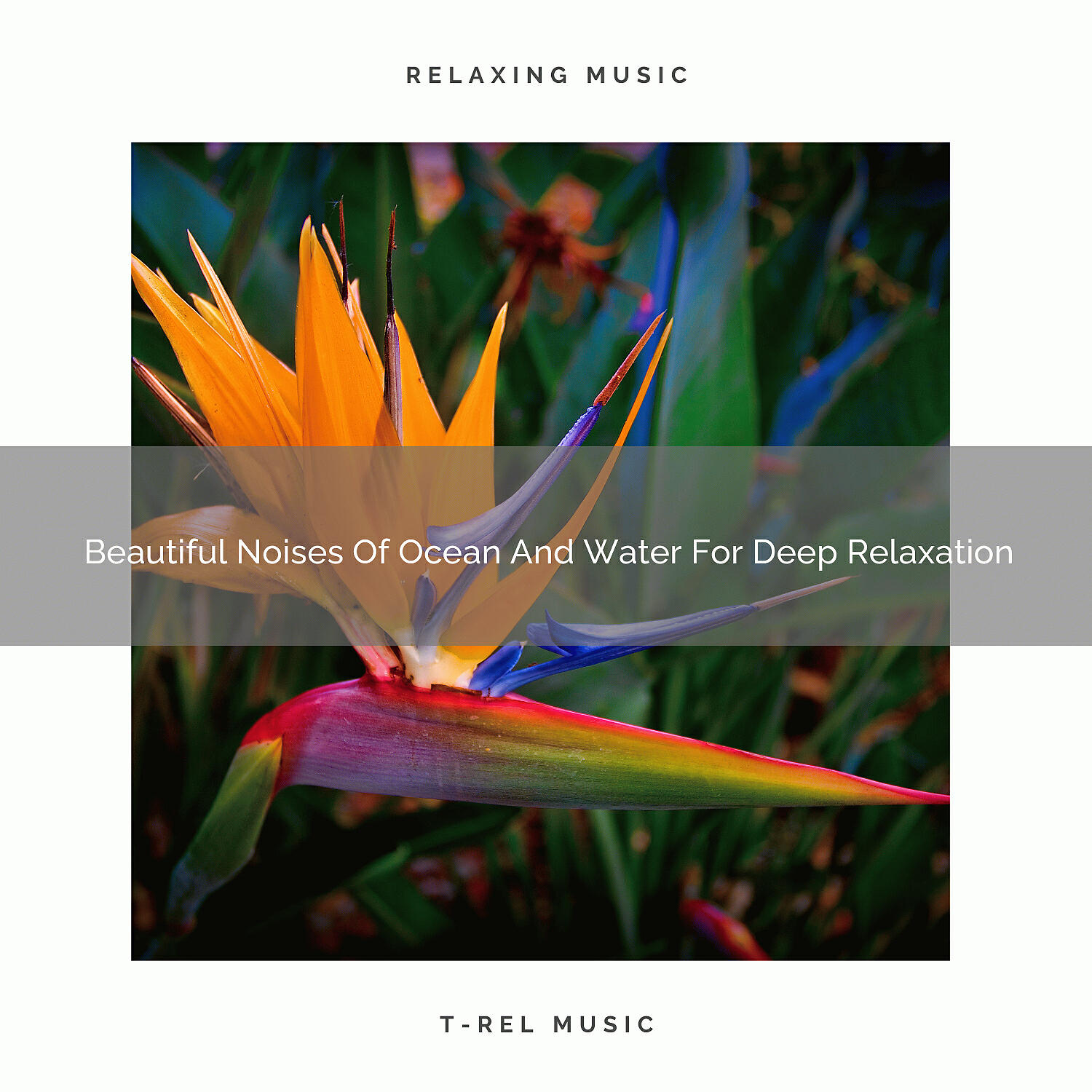 Релиз Beautiful Noises Of Ocean And Water For Deep Relaxation