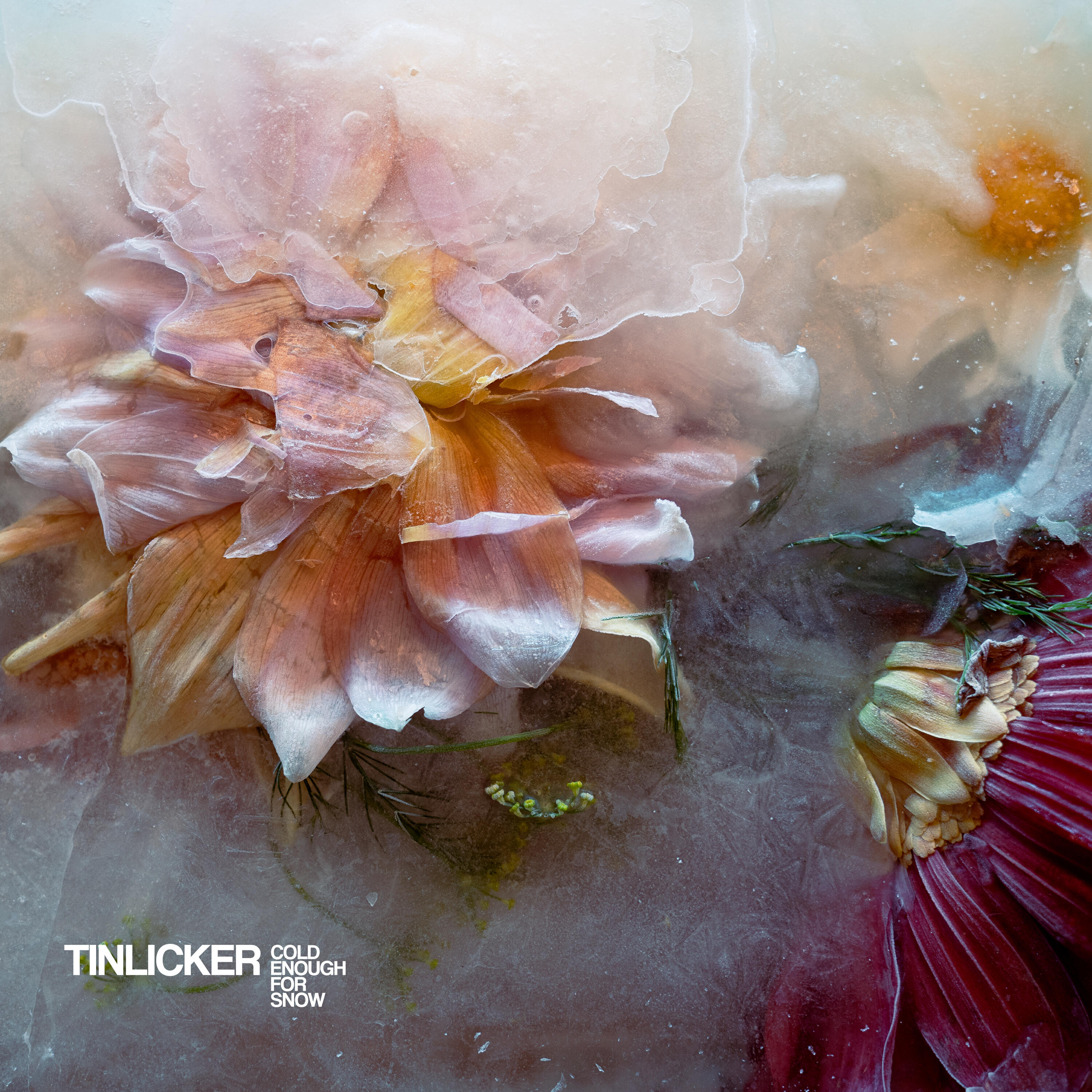 Релиз Cold Enough For Snow