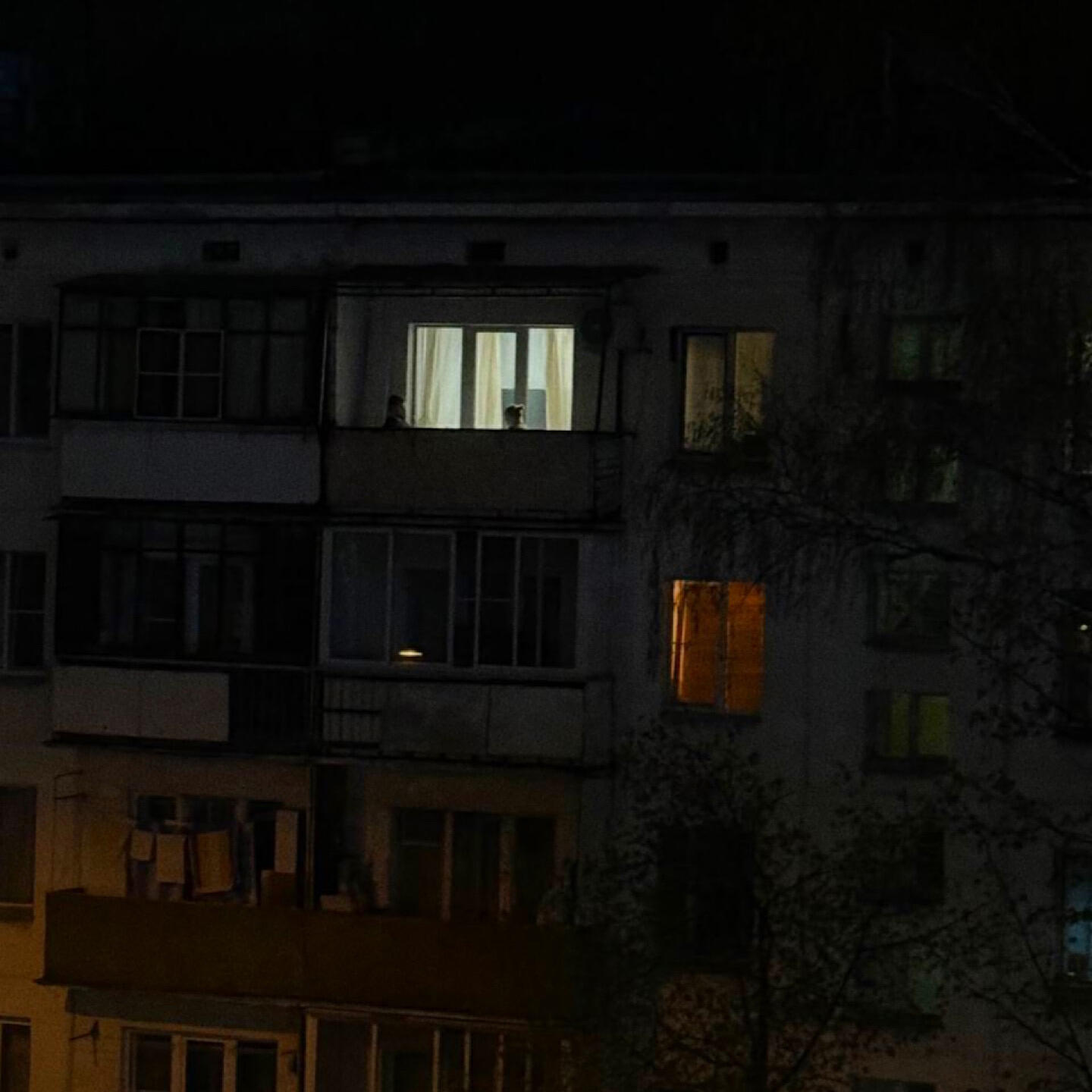 Релиз в потолок