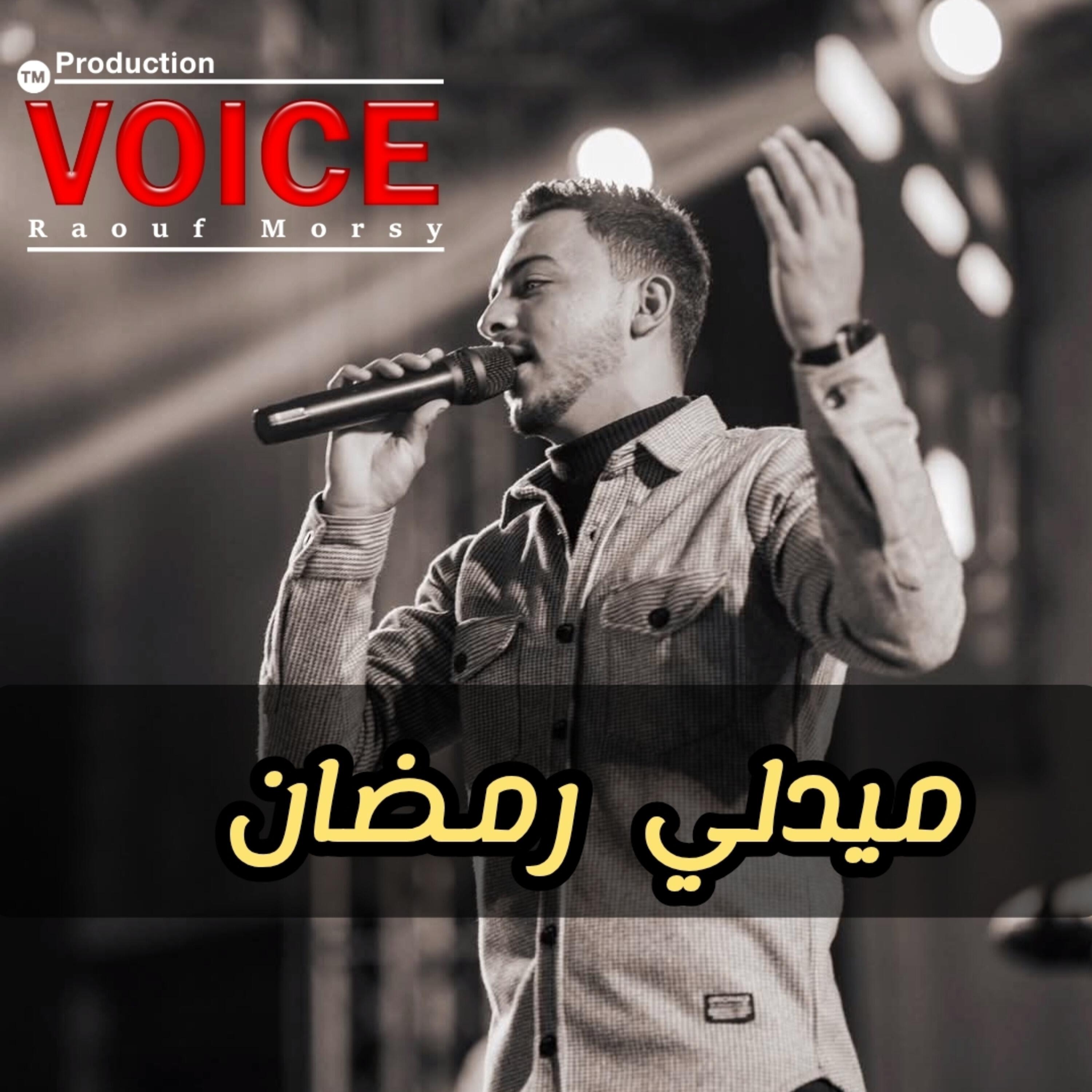 Raouf morsy
