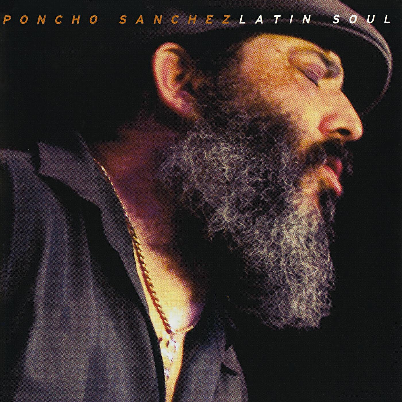 Постер альбома Latin Soul