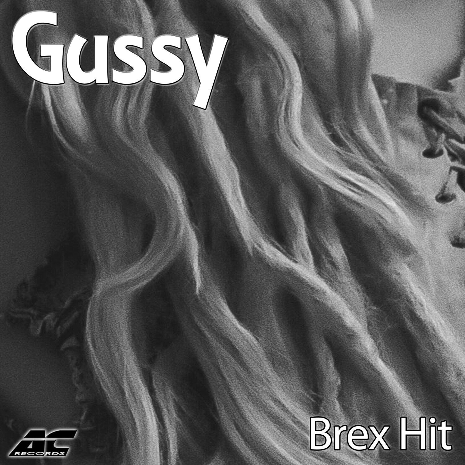 Постер альбома BREX HIT