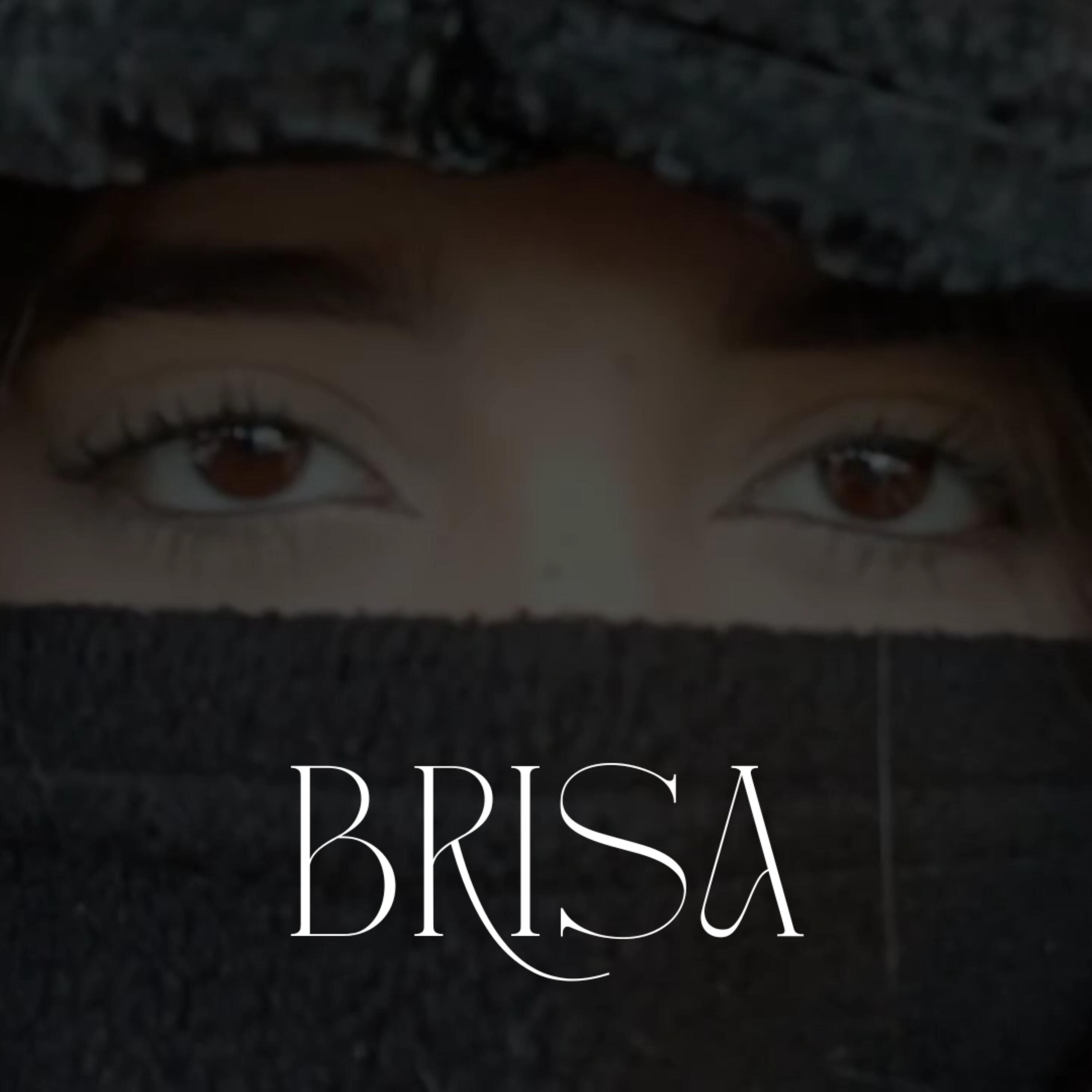 Релиз Brisa