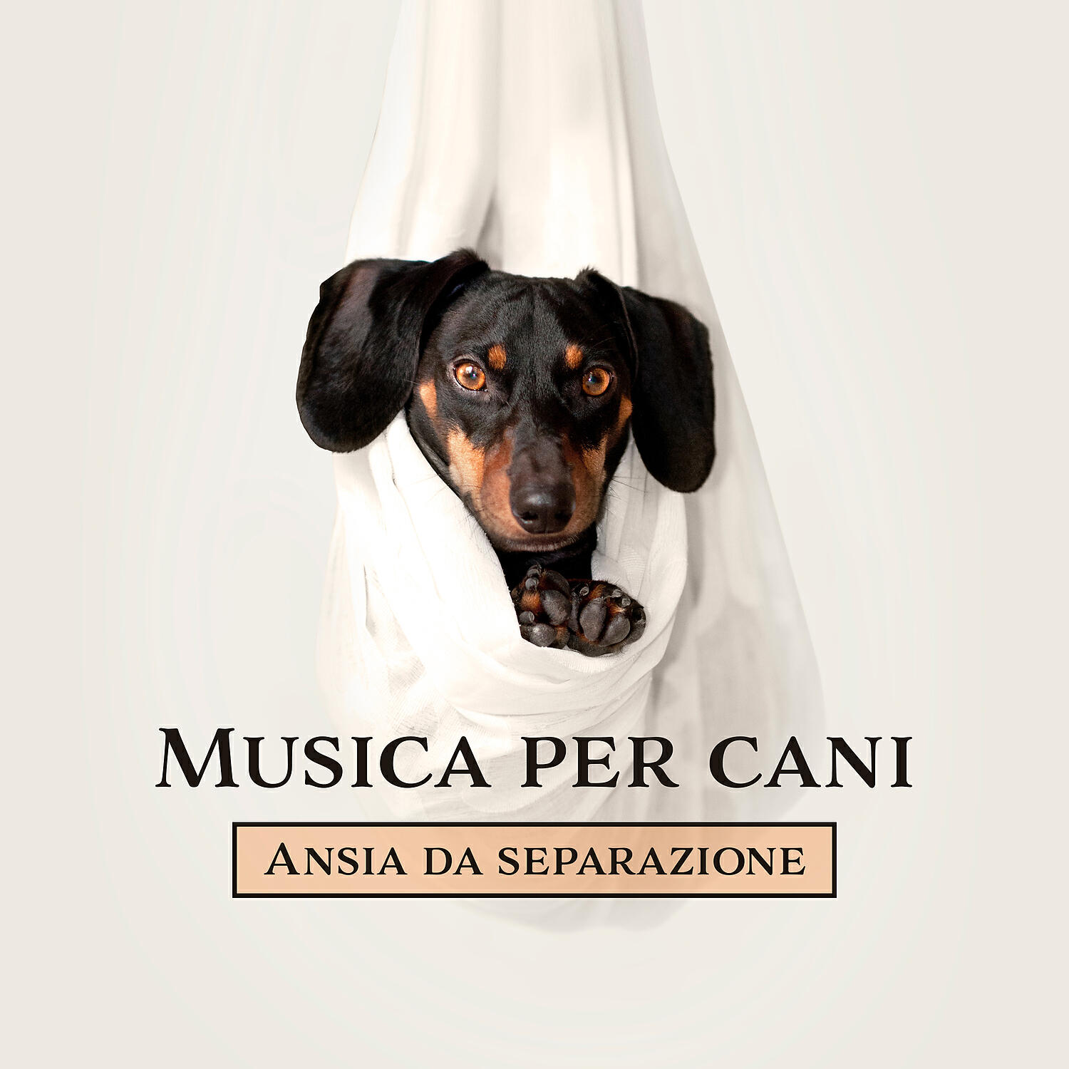 Релиз Musica per cani: Ansia da separazione - Calma istantanea, Sonno profondo, Lenisci i tuoi animali domestici
