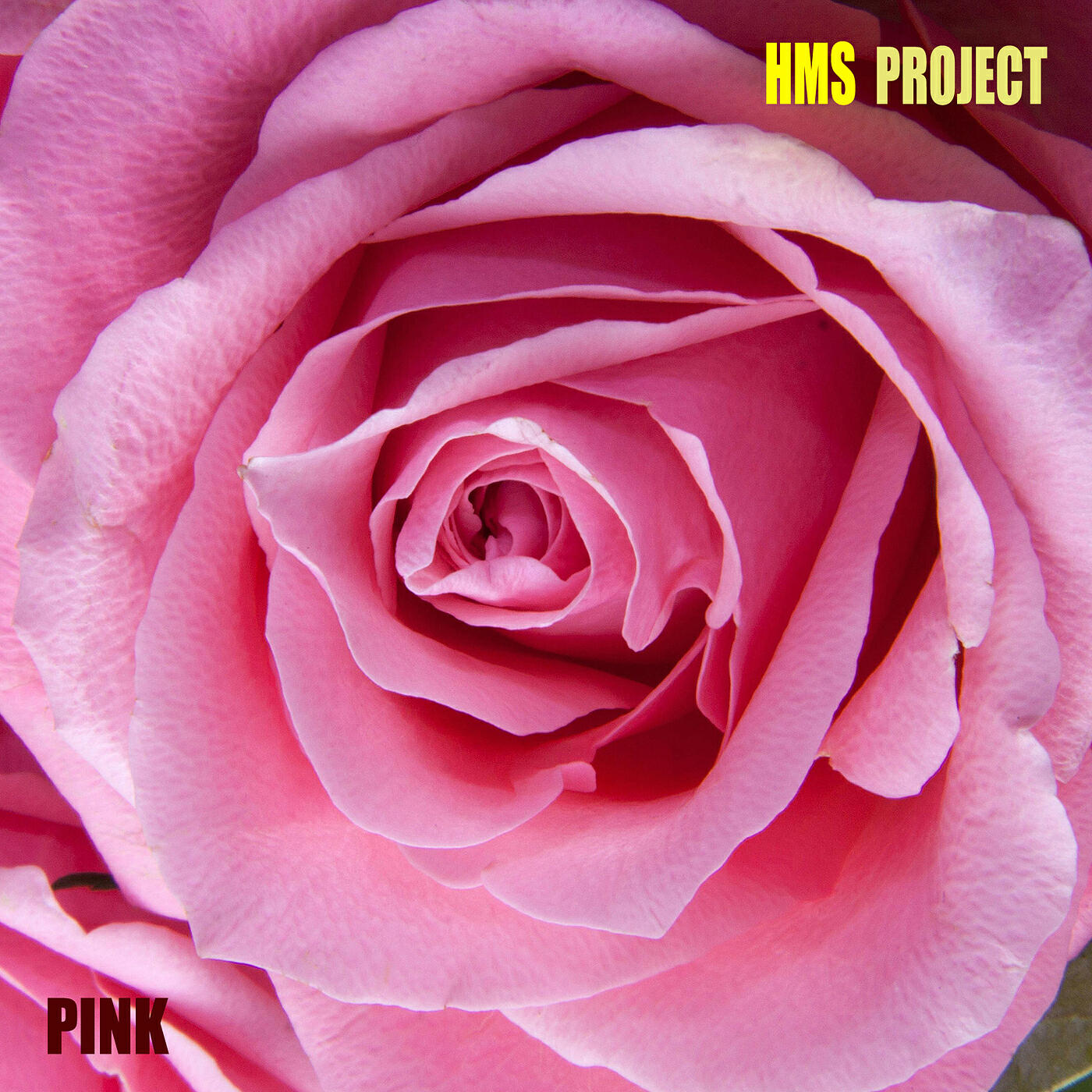 Релиз Pink