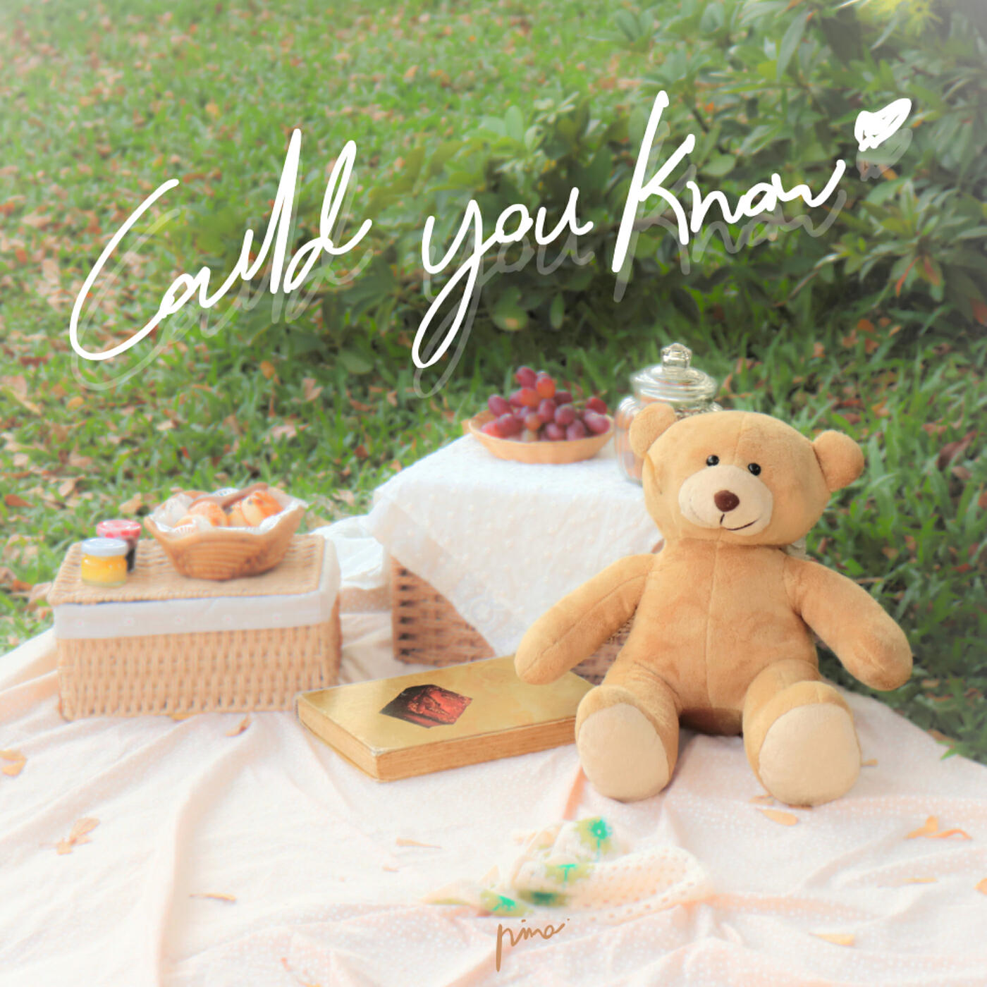 Релиз Could You Know