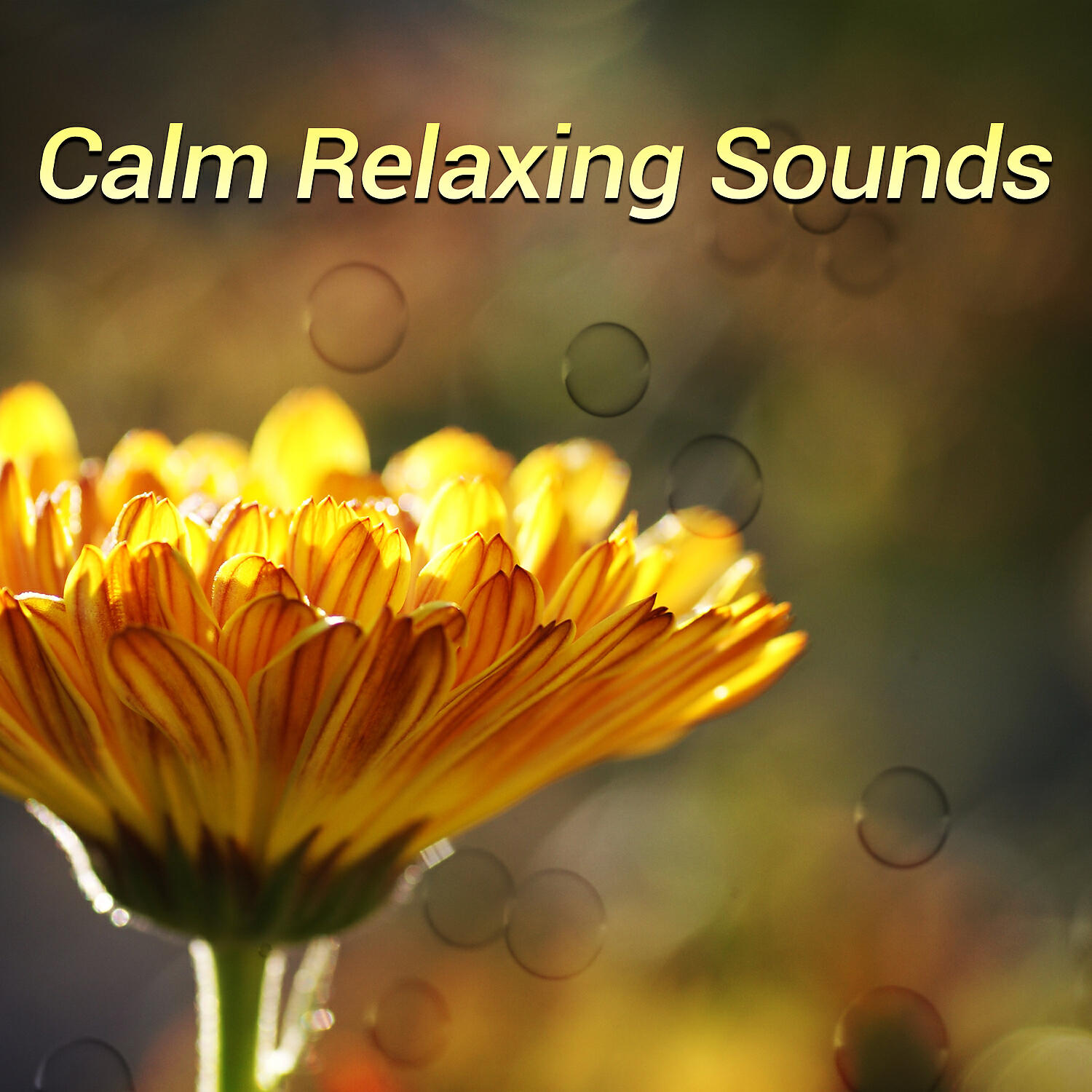 Релиз Calm Relaxing Sounds – Relaxing Music for Anxiety Relief and Stress Reduction