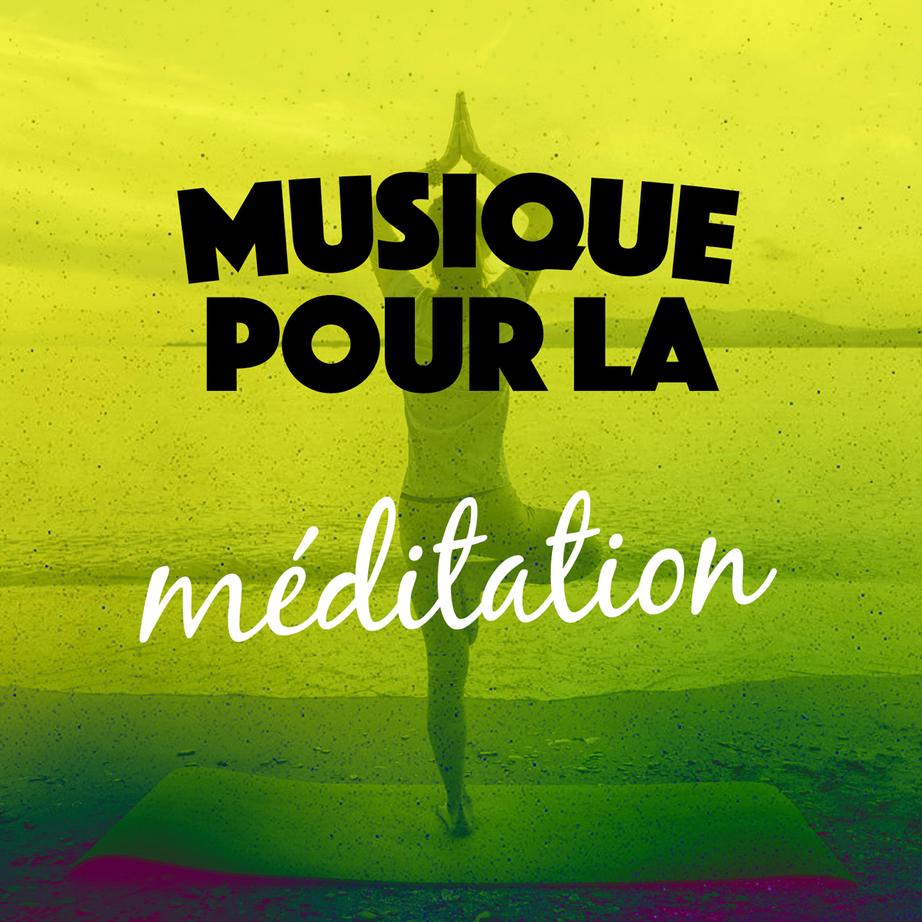Релиз Musique pour la méditation