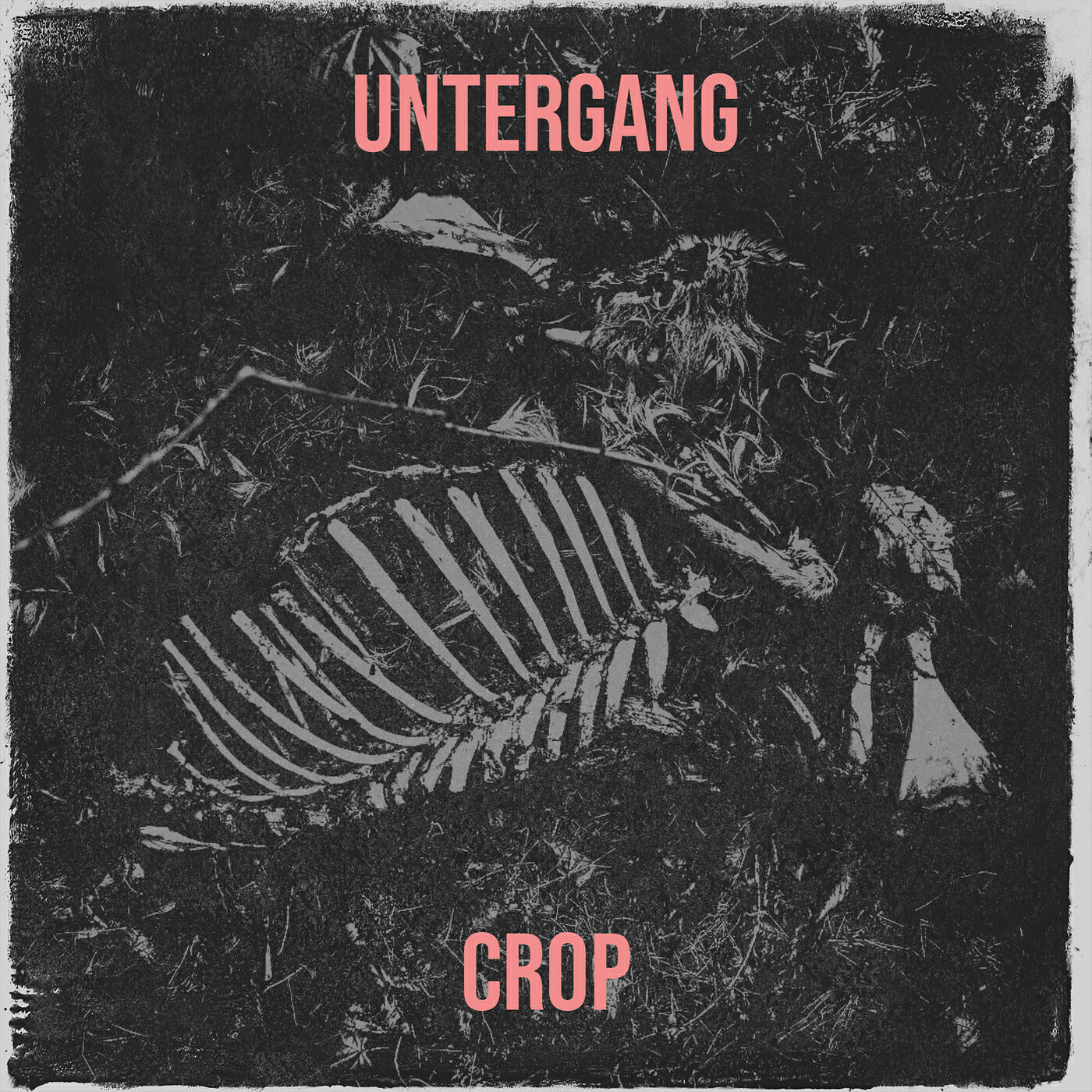 Релиз Untergang