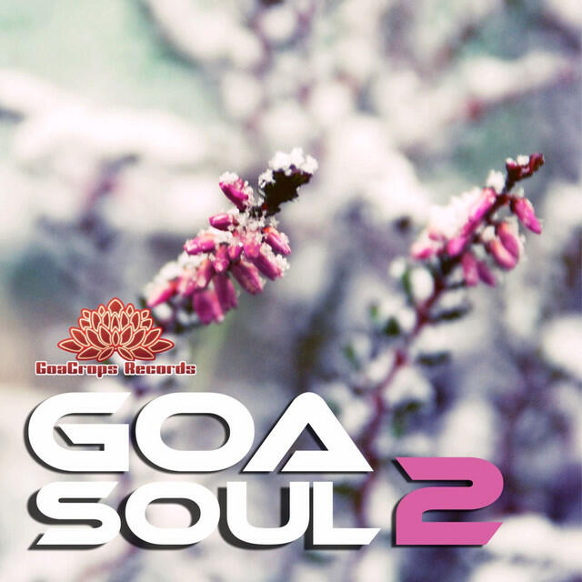 Релиз Goa Soul 2