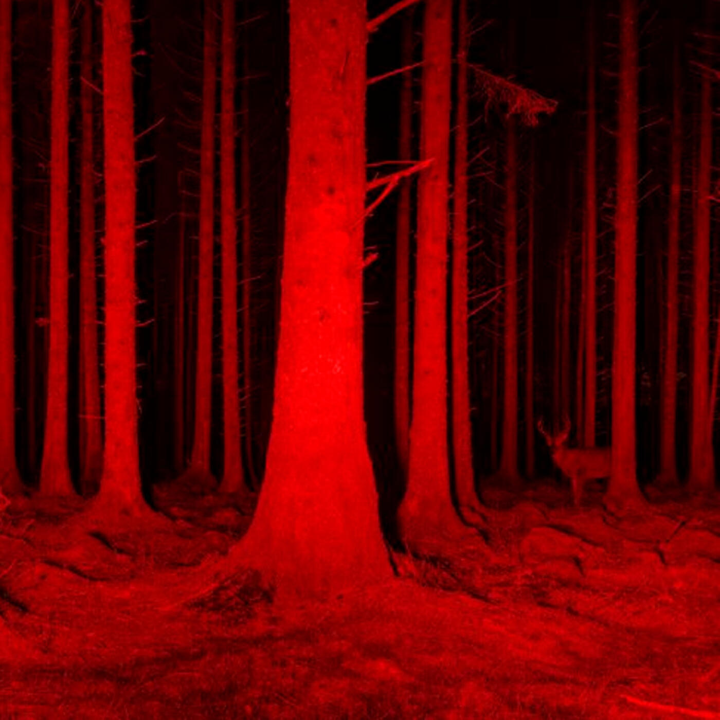 Релиз red.