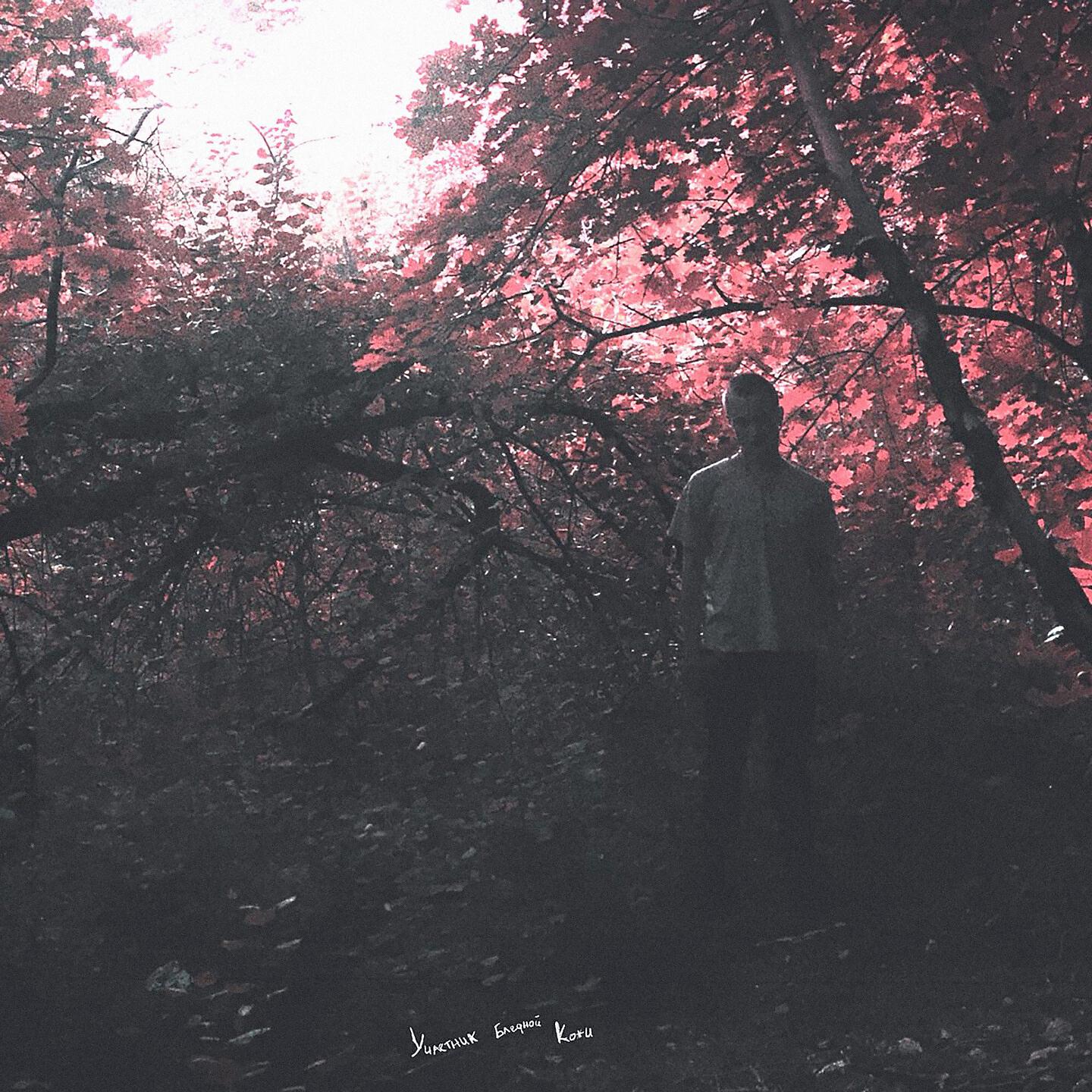 XEROGI, White Punk - Двадцать пятое