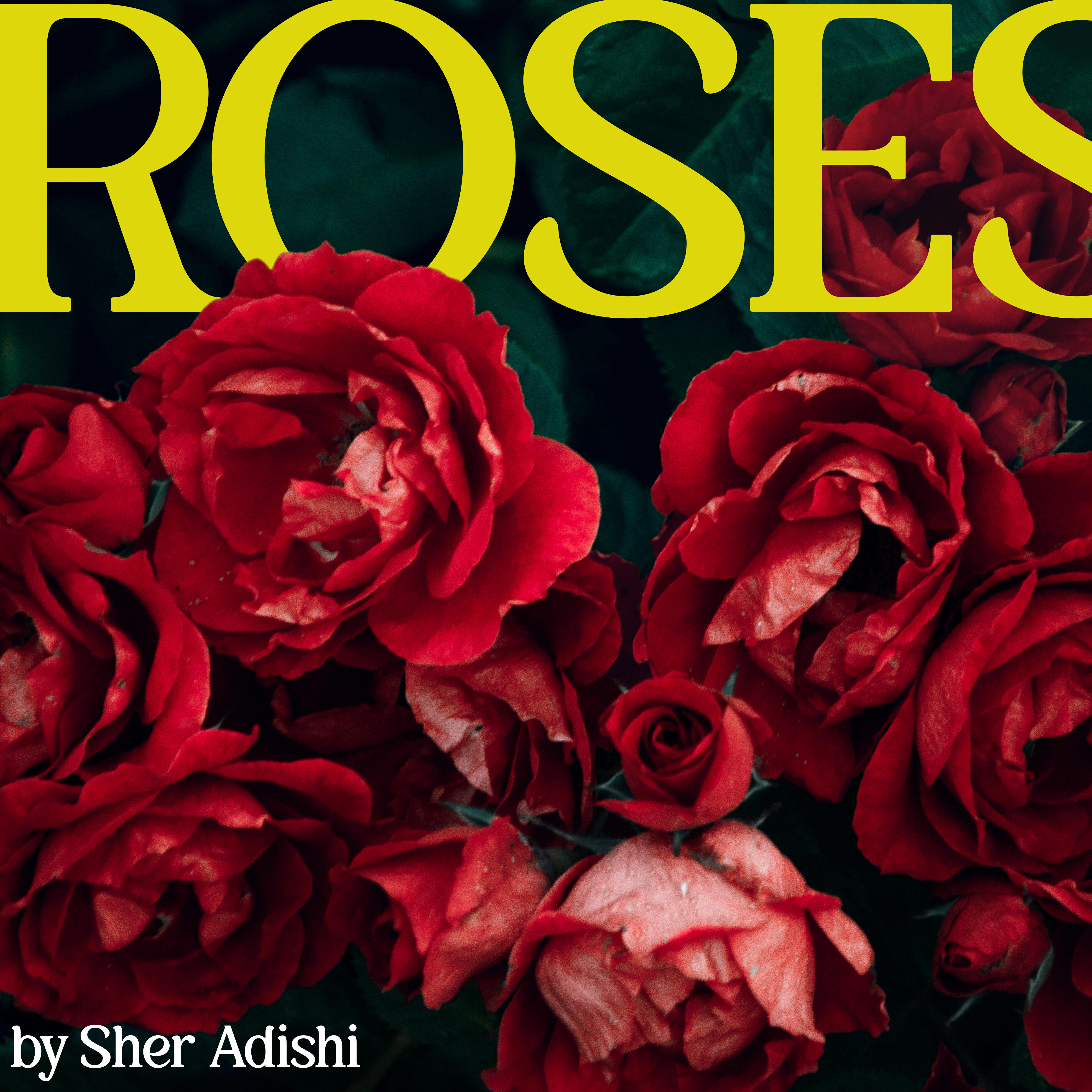 Релиз Roses
