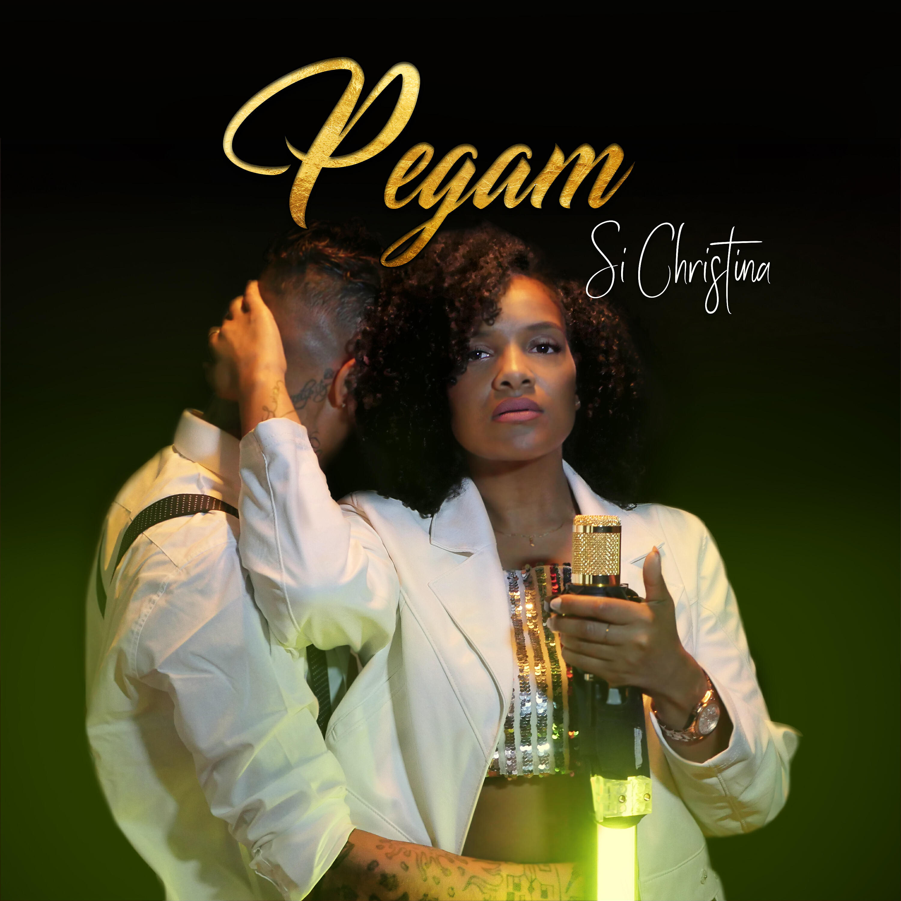 Релиз Pegam