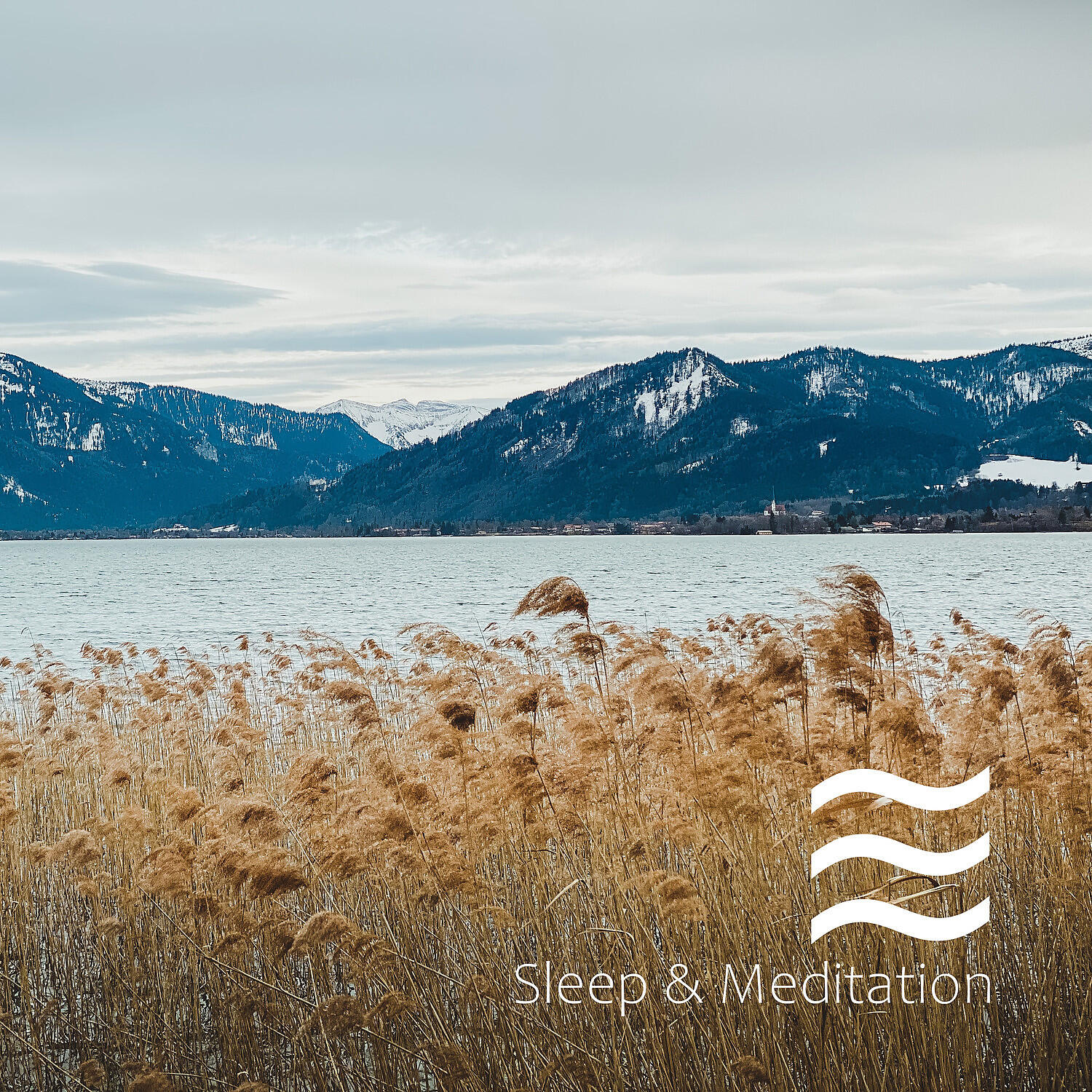 Релиз Pleasant Noises Sleeping Baby