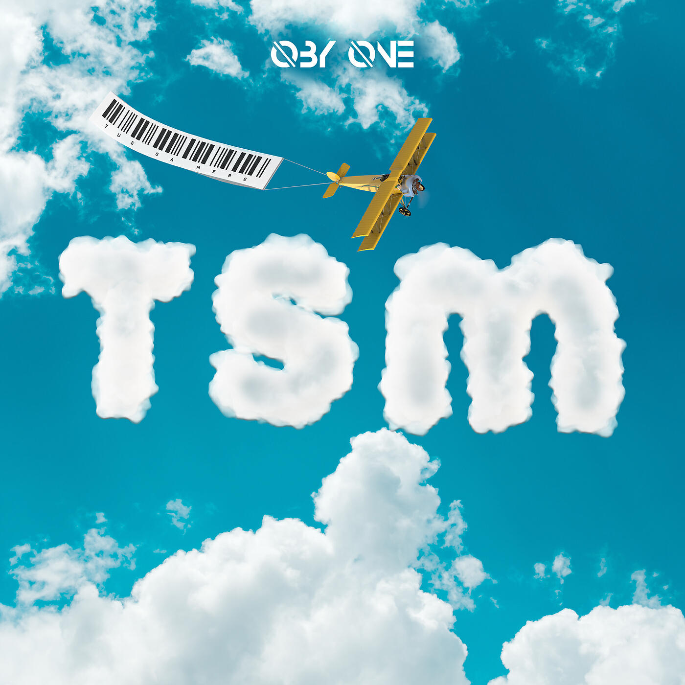 Релиз TSM