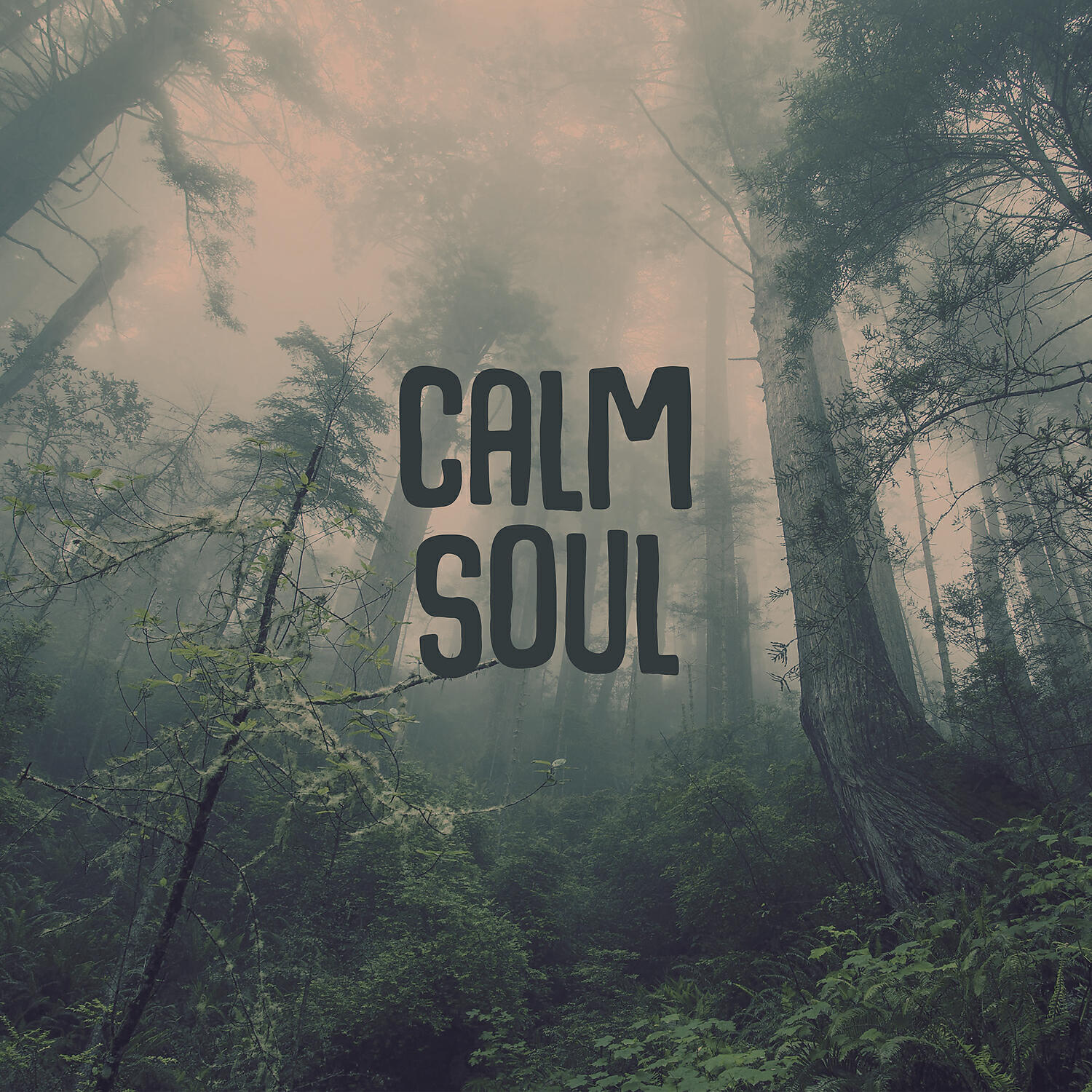 Релиз Calm Soul – Nature Sounds for Relaxation, Soothing Noise, Restful Waves, Singing Birds